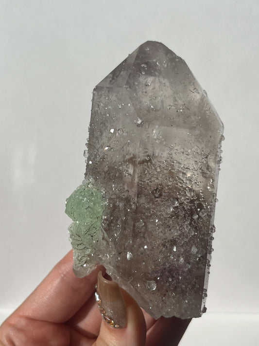 Hollow Core Streep Quartz with Analcime & Prehnite Coating with Epidote Inclusions Specimen with Enhydro (Collector’s Choice)