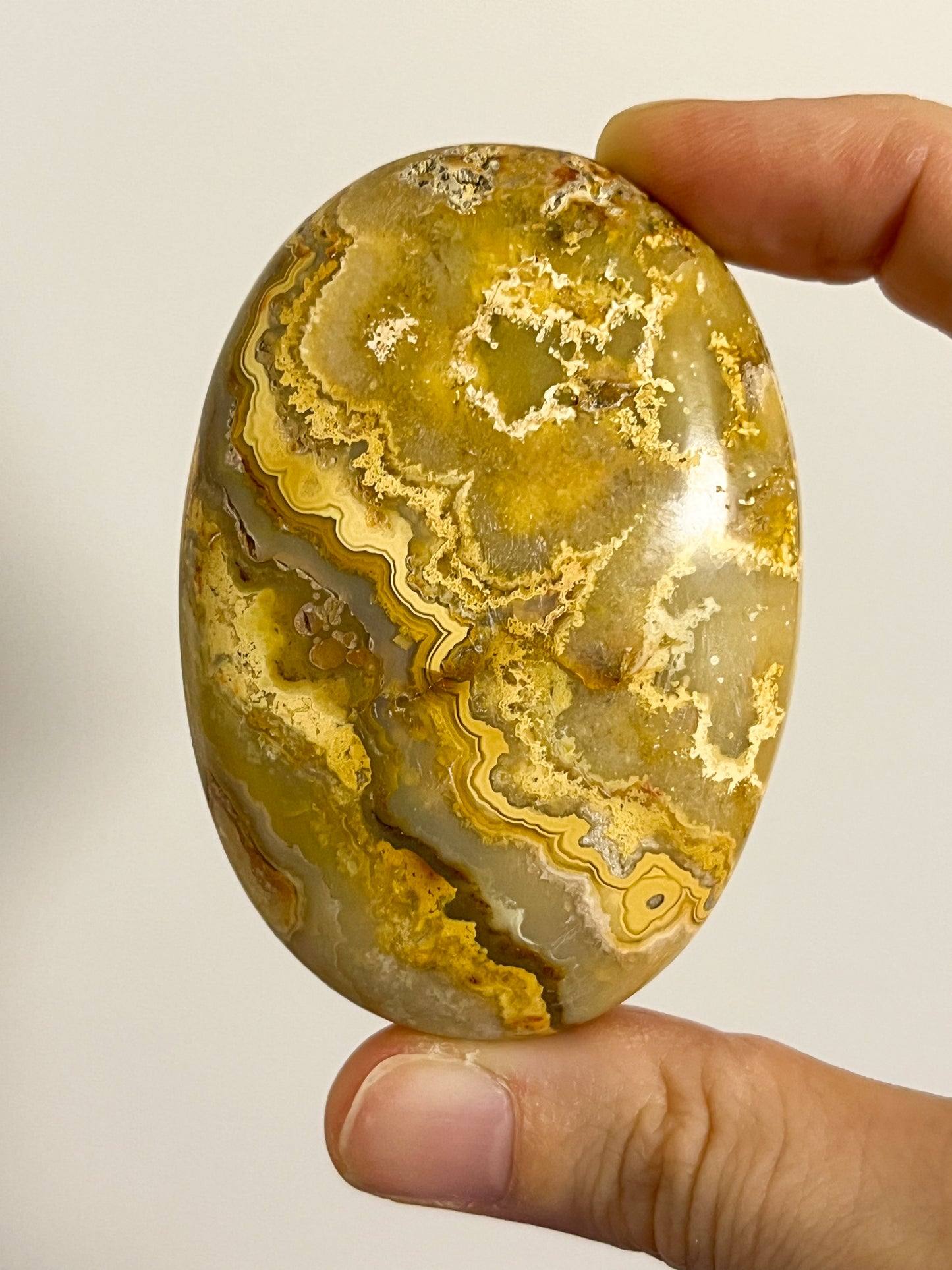 Golden Crazy Lace Agate Oval Palmstone #1