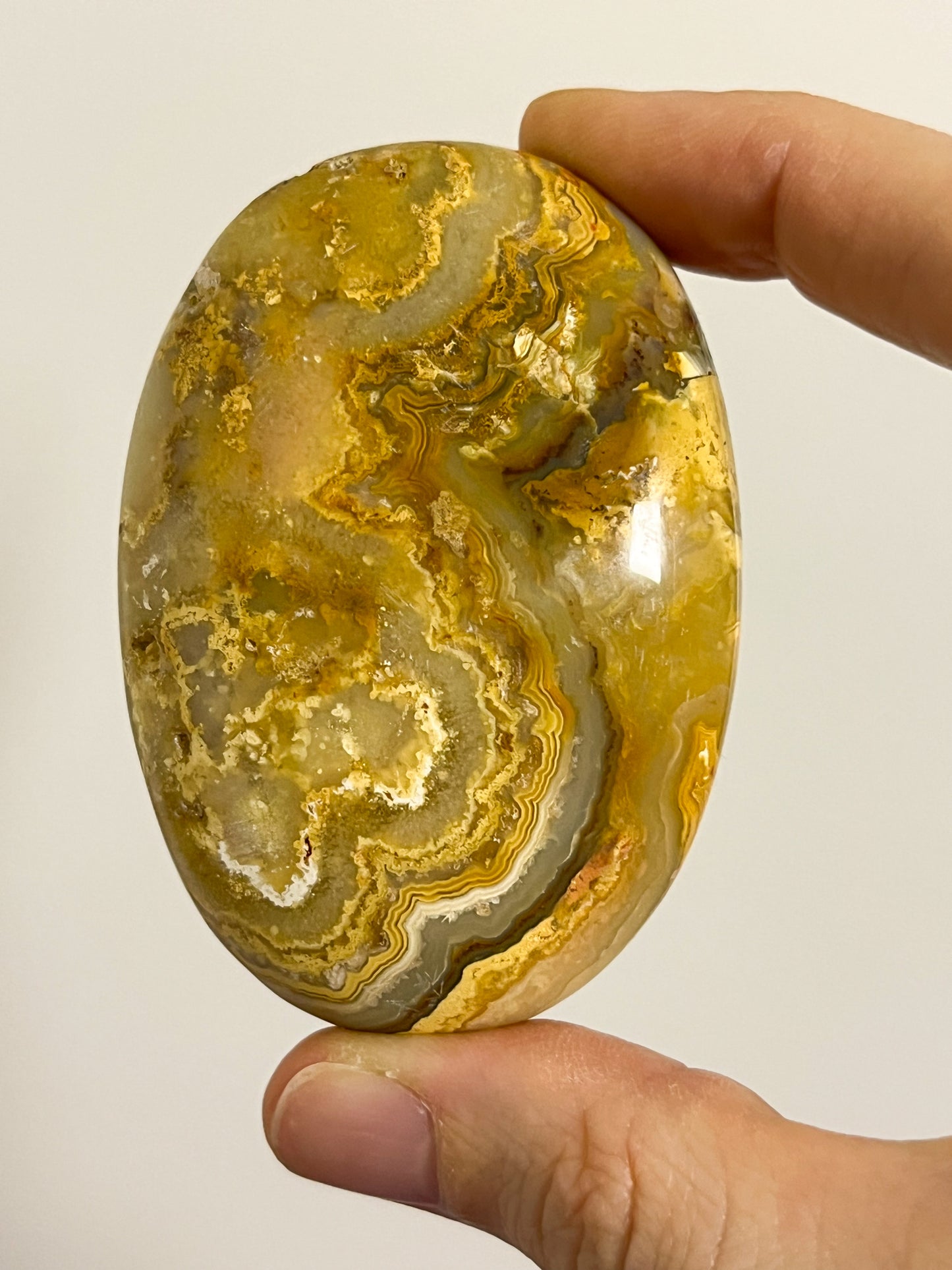 Golden Crazy Lace Agate Oval Palmstone #1