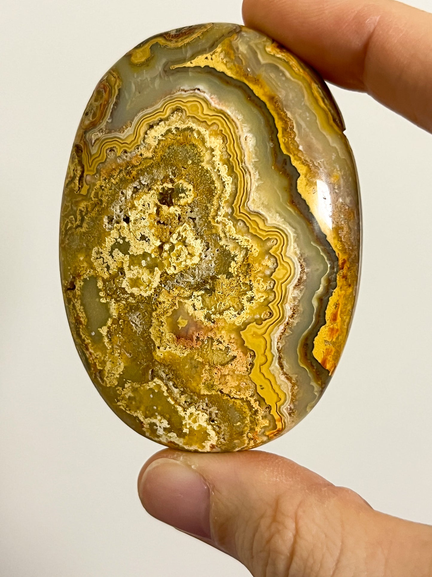 Golden Crazy Lace Agate Oval Palmstone #3