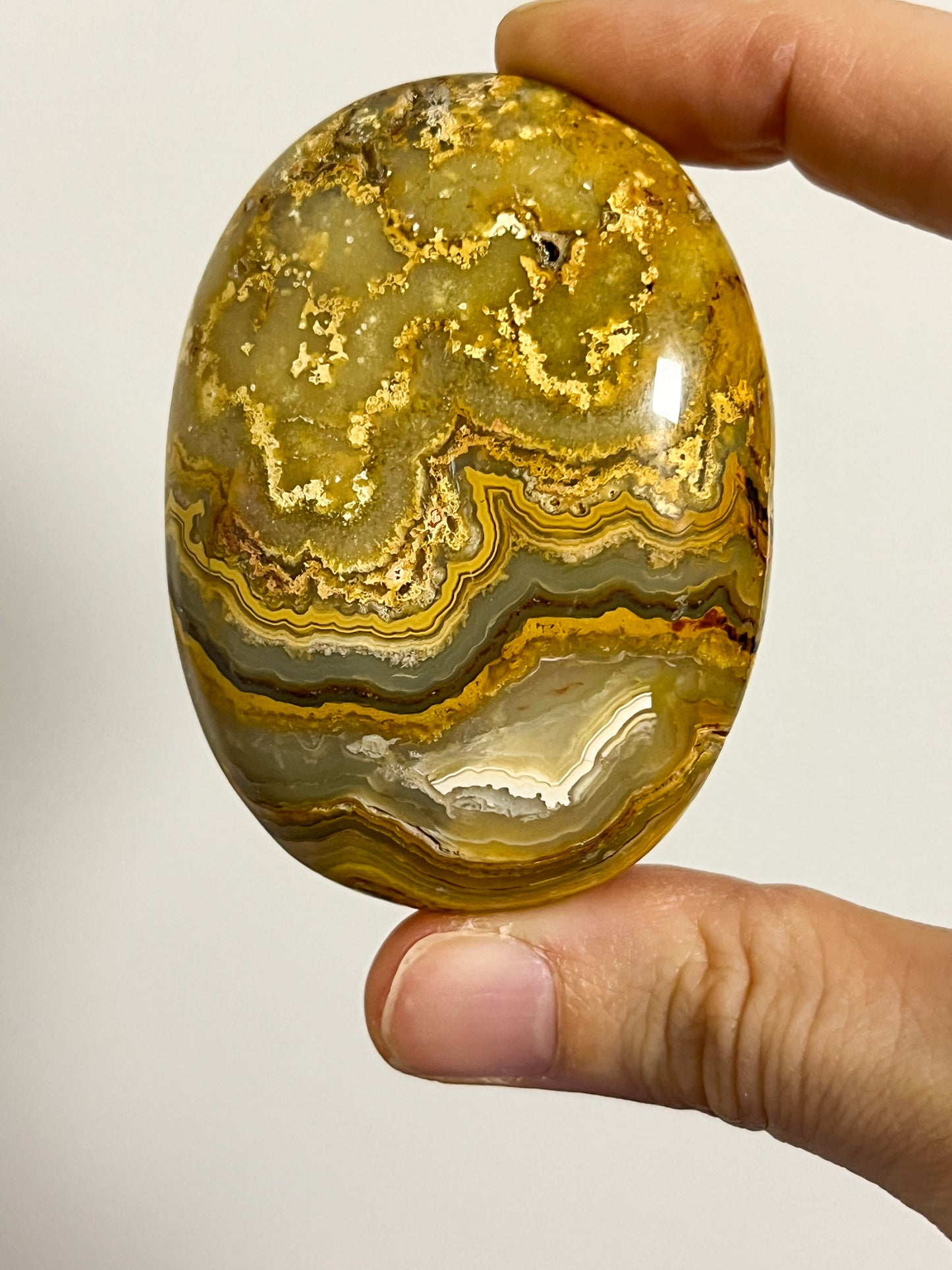 Golden Crazy Lace Agate Oval Palmstone #5