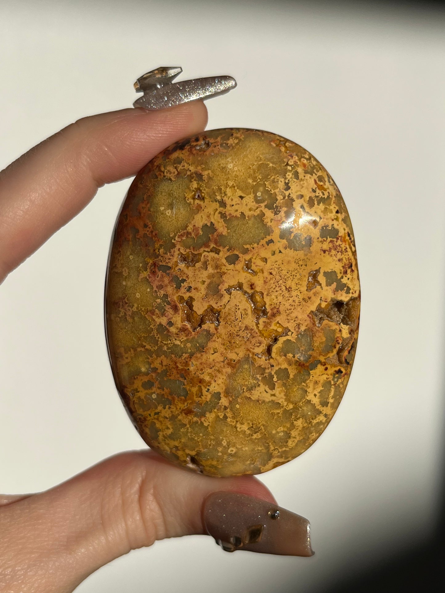 Golden Lace Agate Oval Palmstone B