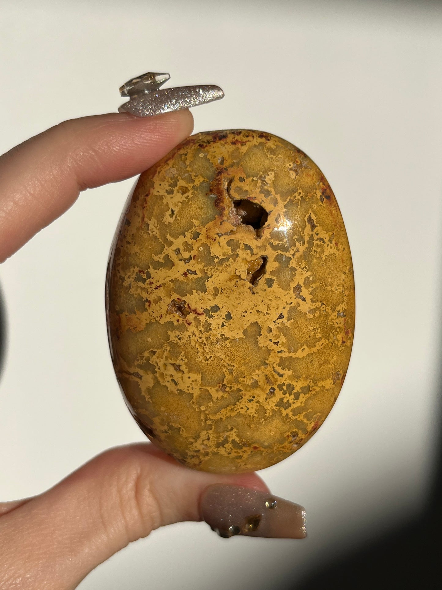 Golden Lace Agate Oval Palmstone C