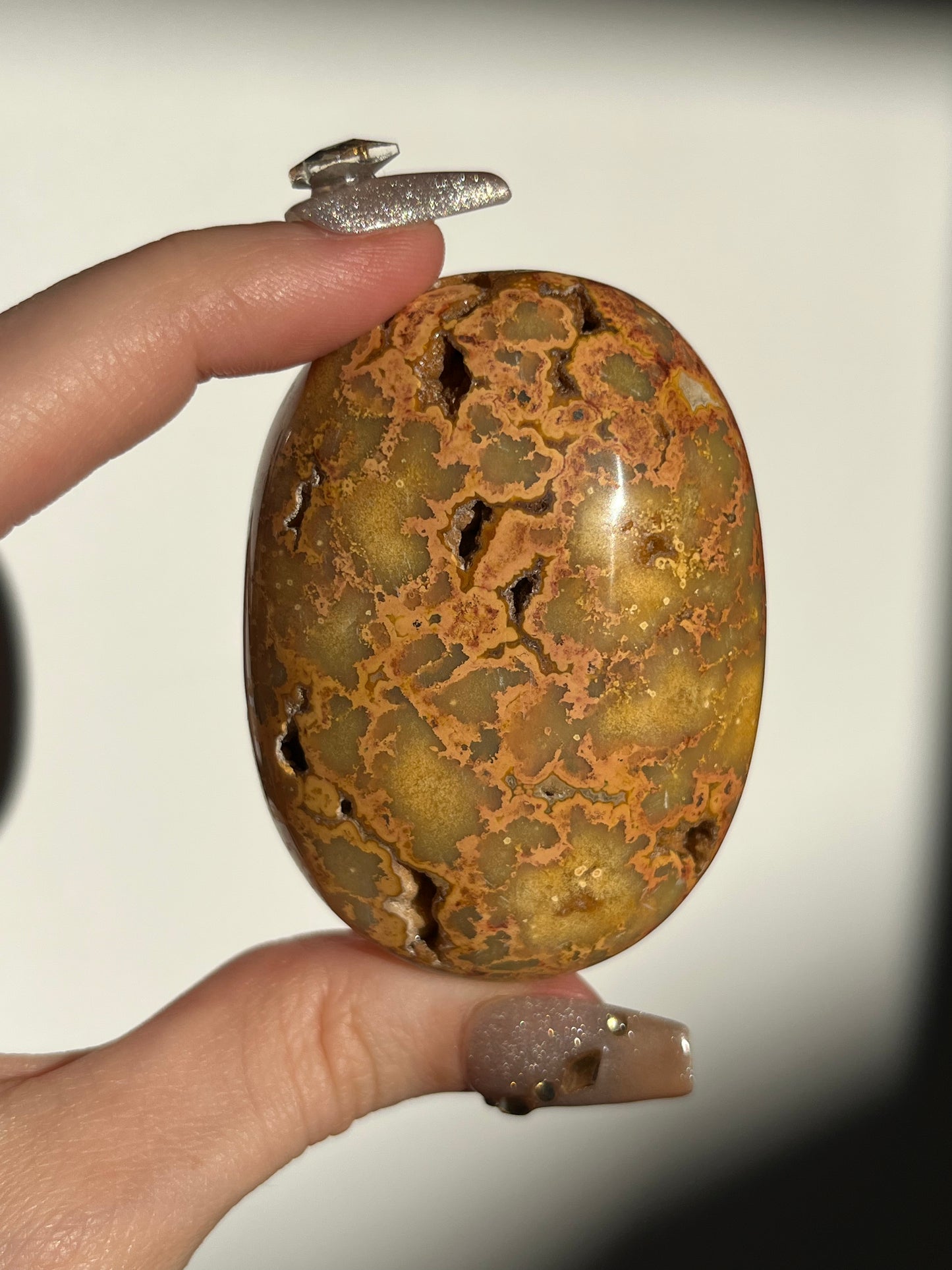 Golden Lace Agate Oval Palmstone D