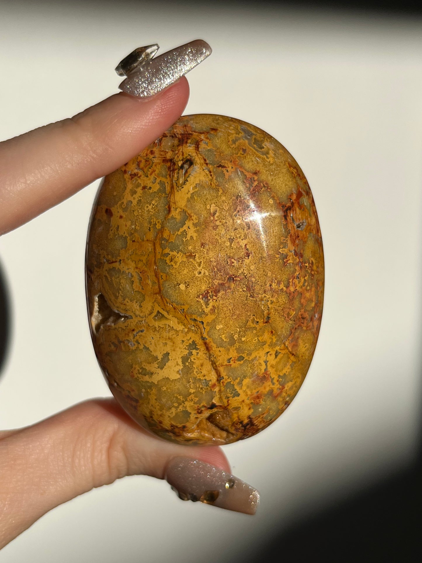 Golden Lace Agate Oval Palmstone E