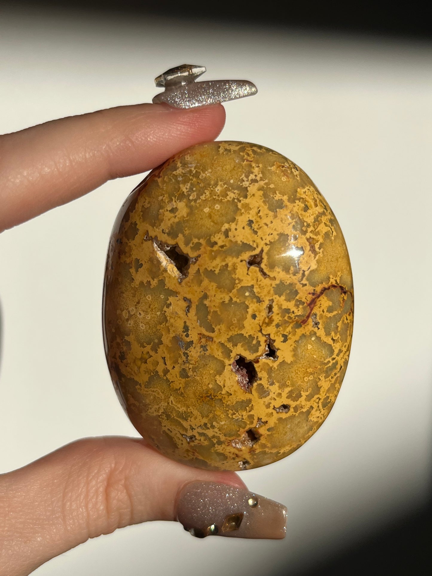 Golden Lace Agate Oval Palmstone F