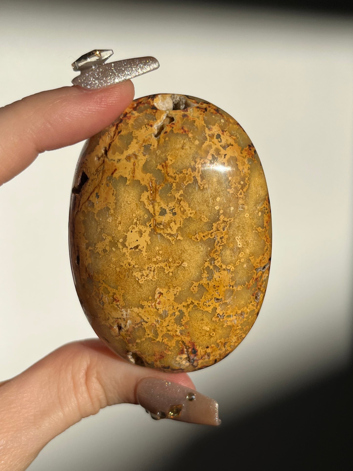 Golden Lace Agate Oval Palmstone H