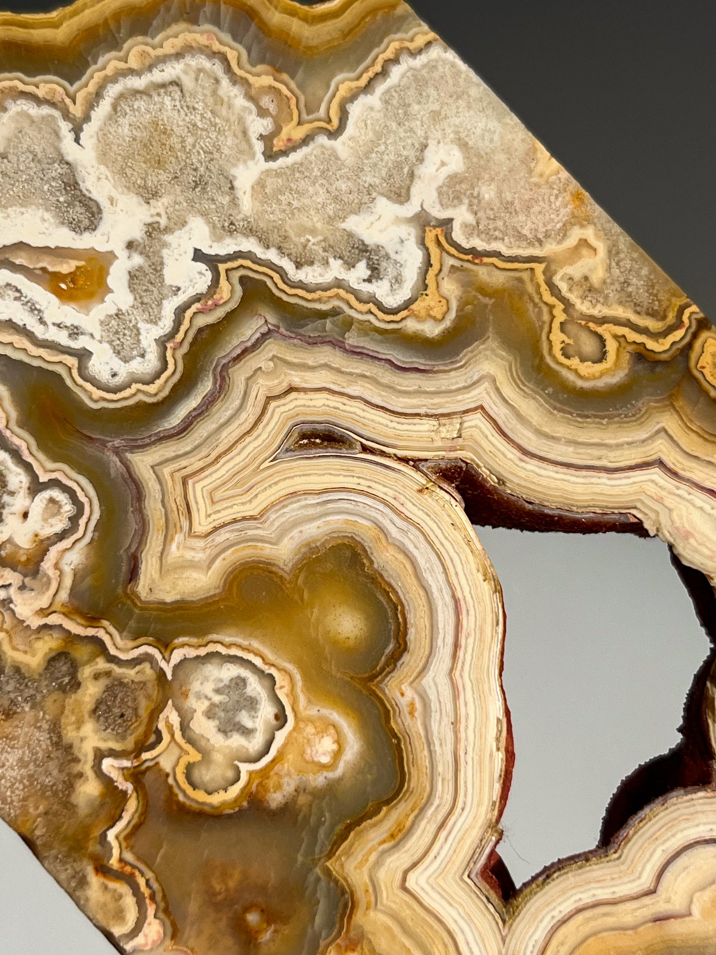 Golden Crazy Lace Agate Slab #1