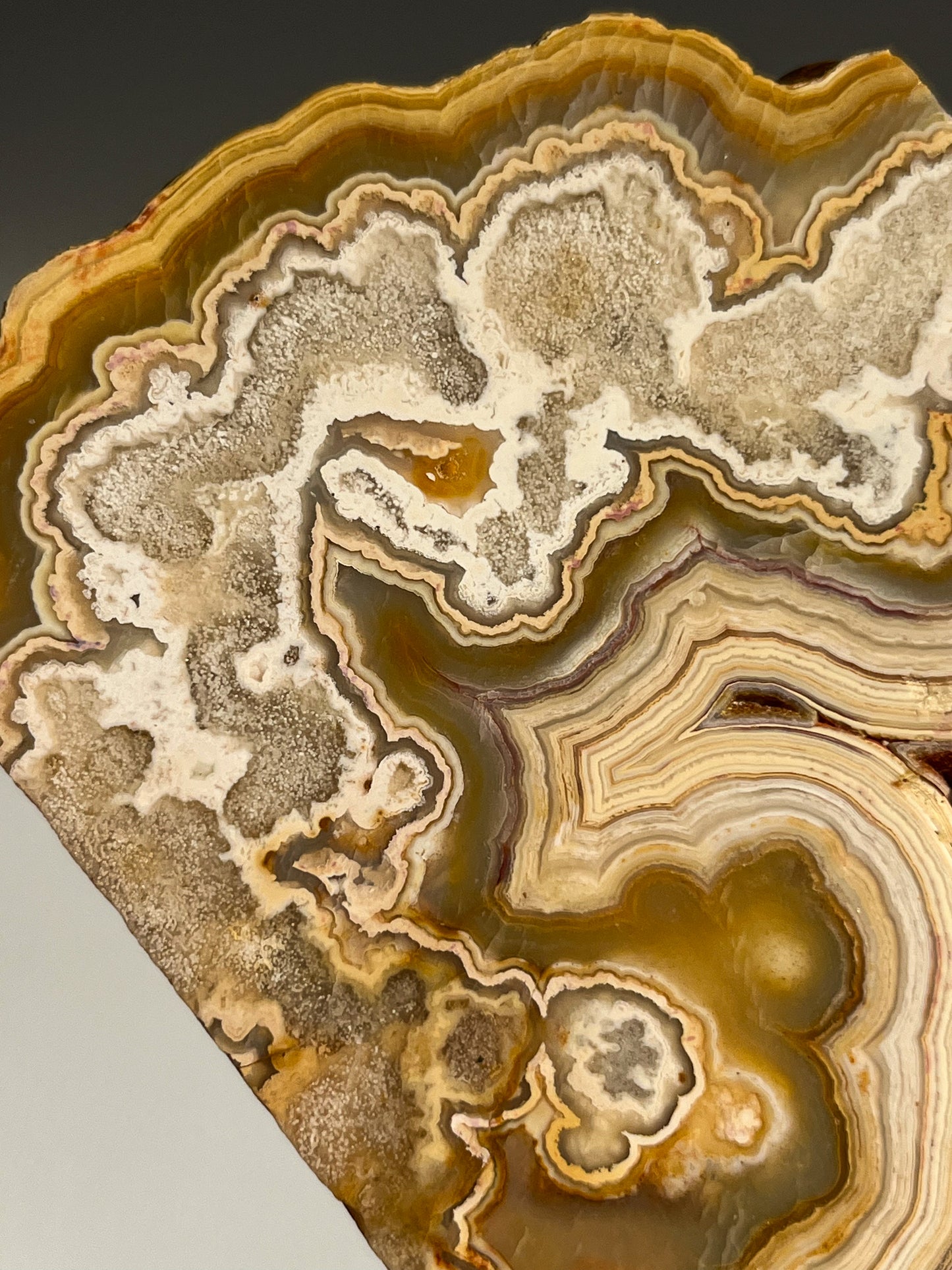 Golden Crazy Lace Agate Slab #1