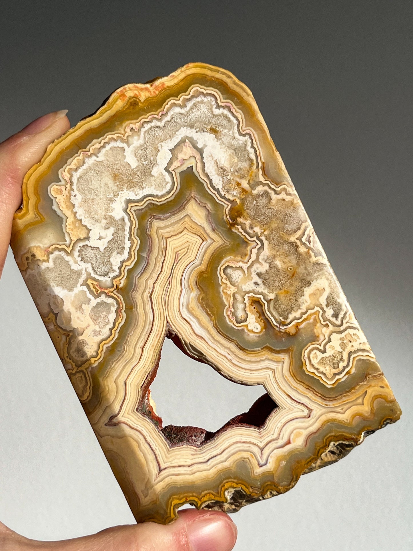 Golden Crazy Lace Agate Slab #1