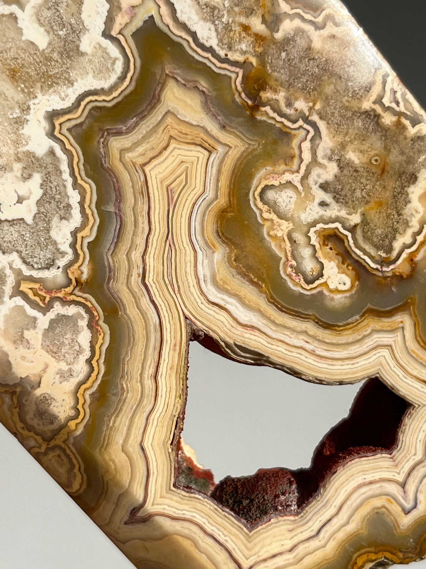 Golden Crazy Lace Agate Slab #1