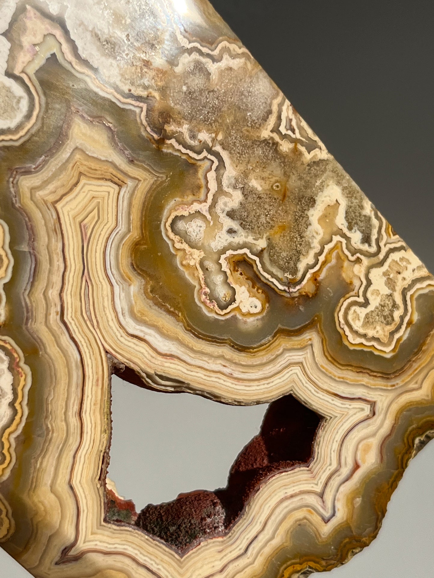 Golden Crazy Lace Agate Slab #1