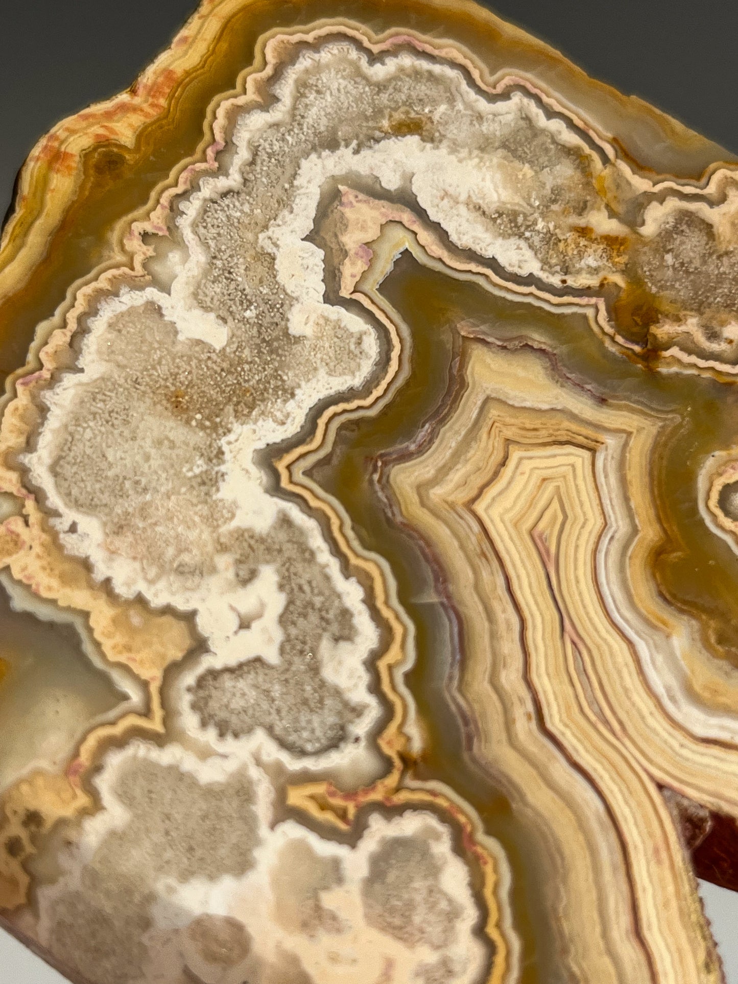 Golden Crazy Lace Agate Slab #1