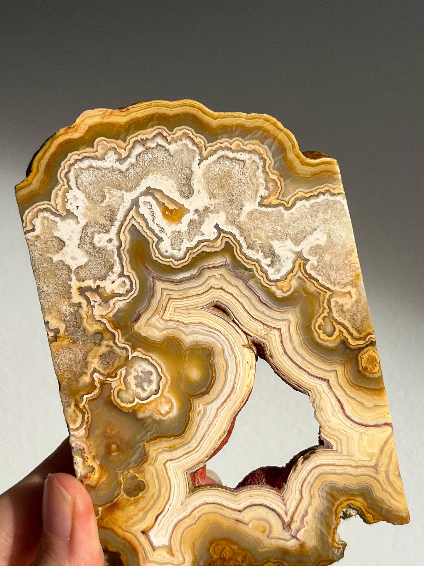 Golden Crazy Lace Agate Slab #1