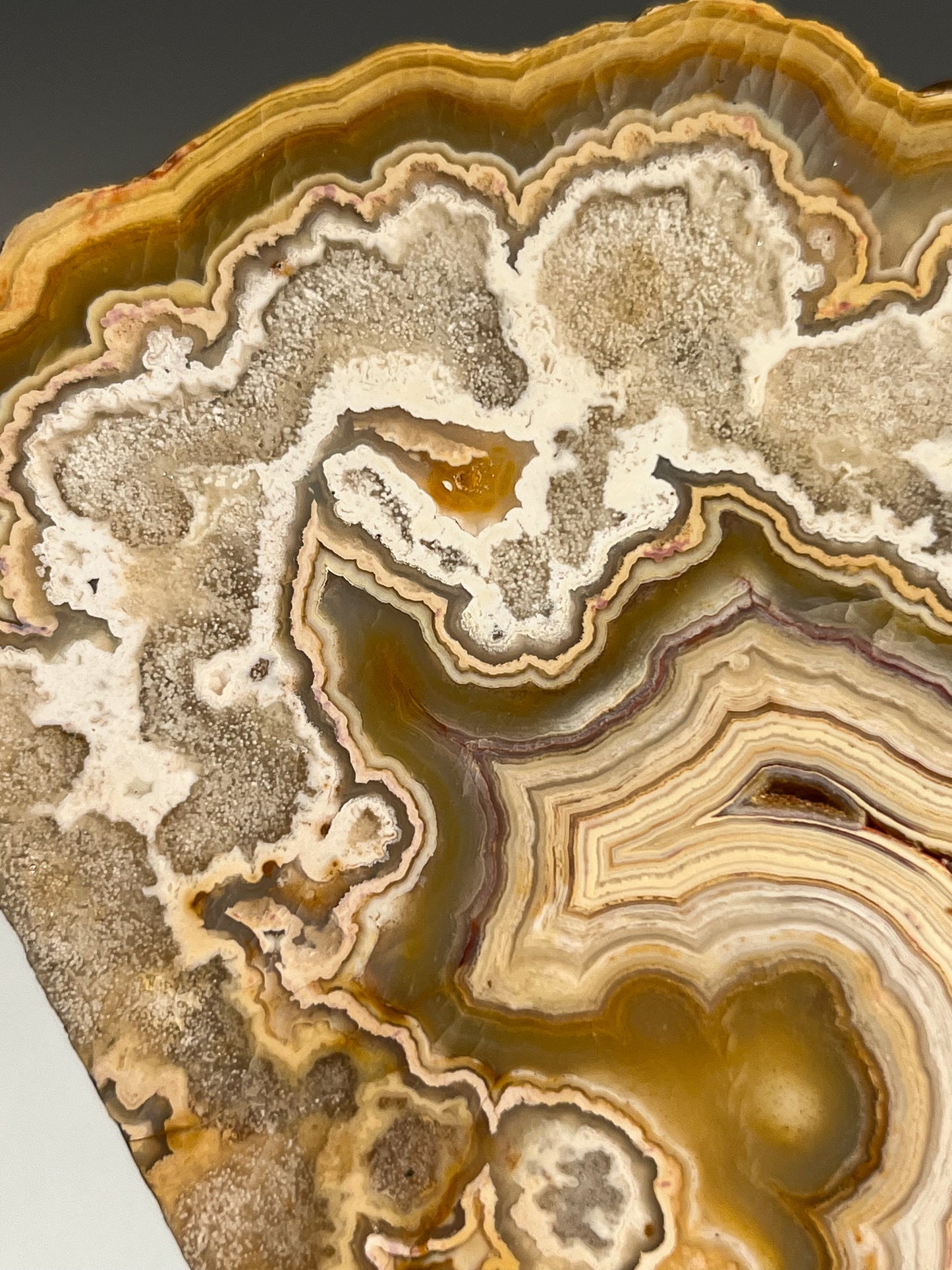 Golden Crazy Lace Agate Slab #1