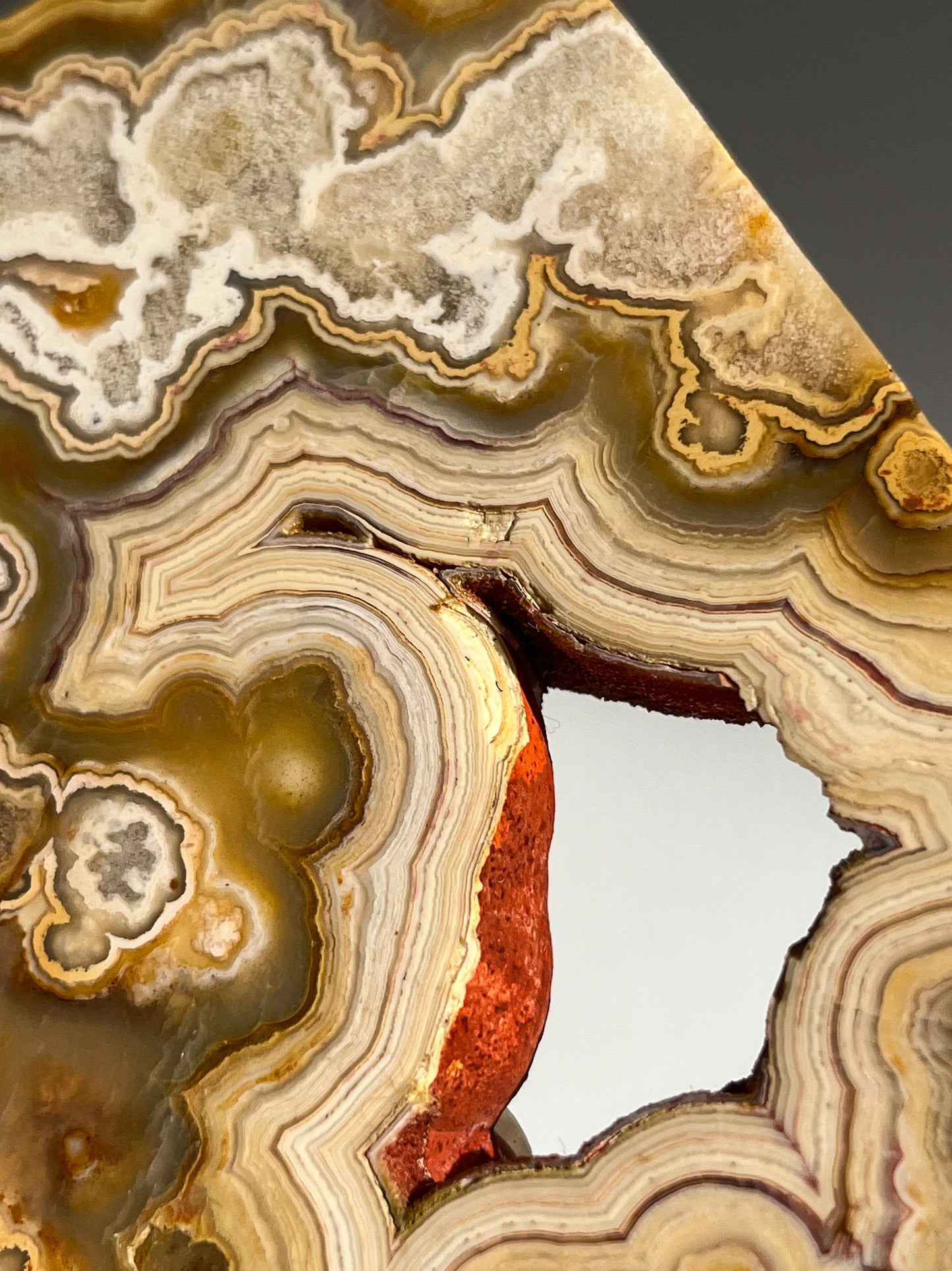 Golden Crazy Lace Agate Slab #1