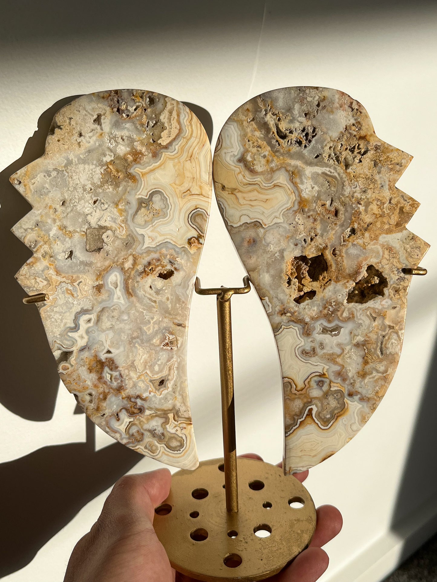 Golden Crazy Lace Agate Angel Wings on Stand #A