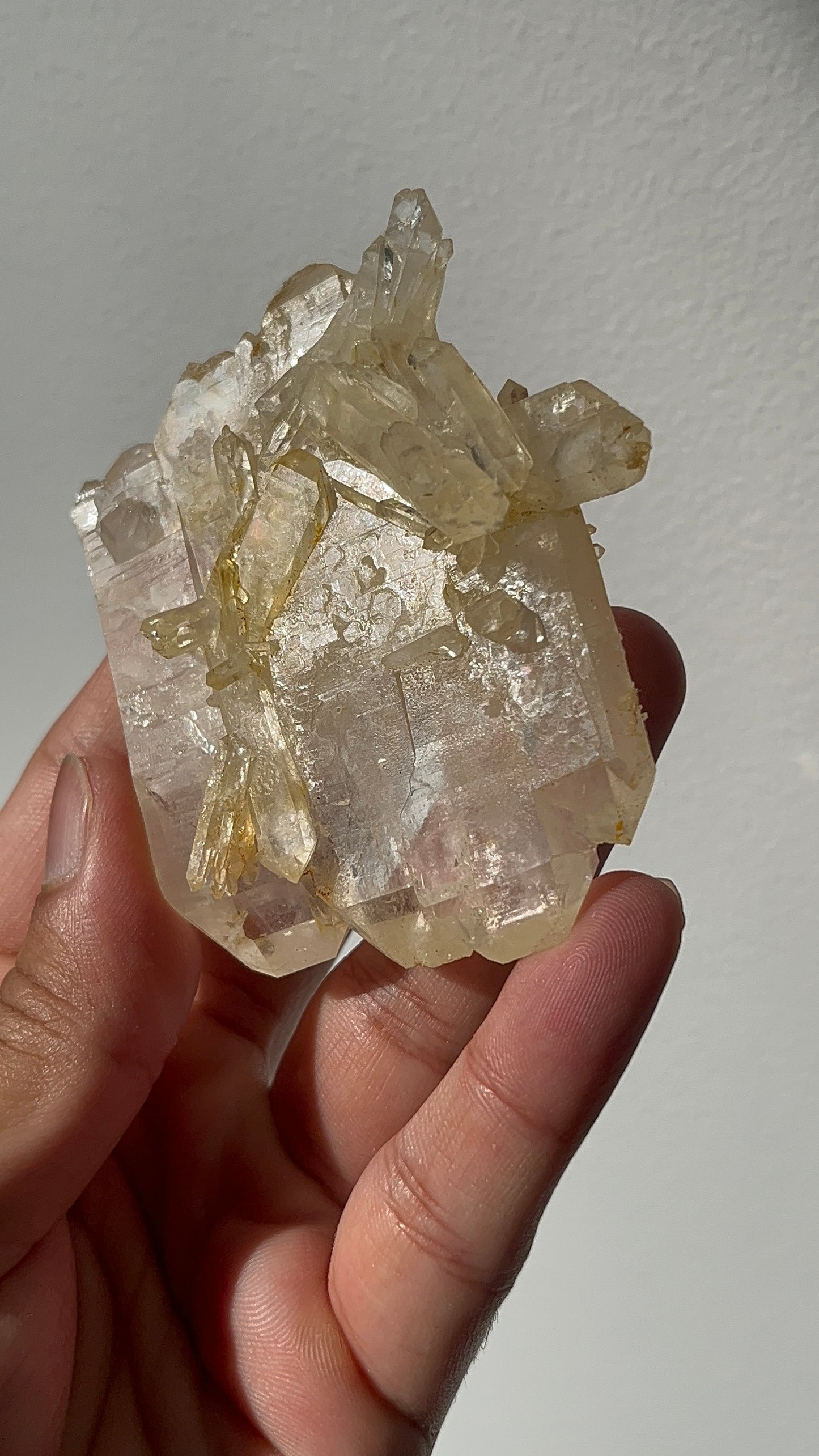 “Aureus Raft” Golden Healer Faden Quartz Specimen F