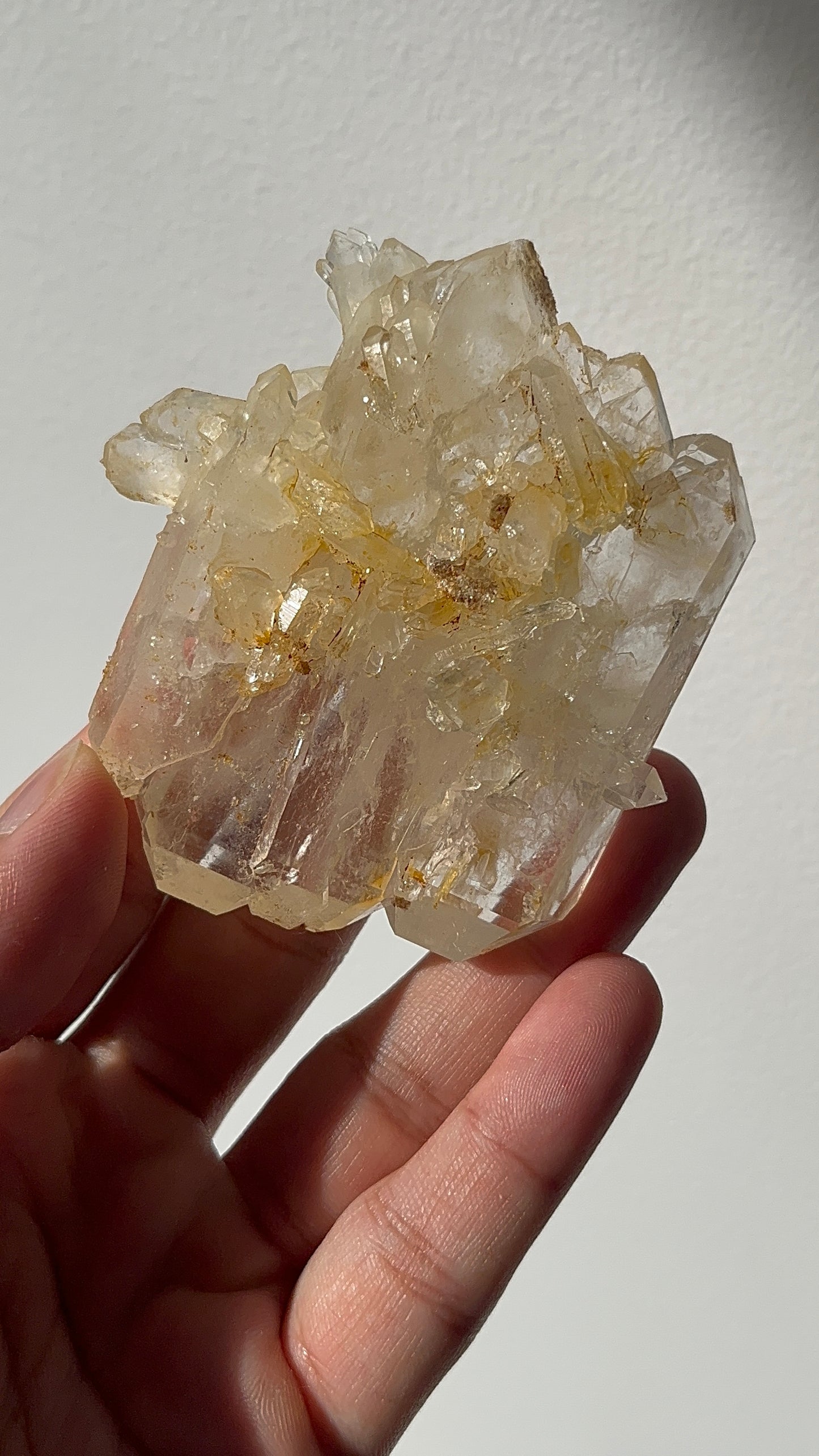 “Aureus Raft” Golden Healer Faden Quartz Specimen F