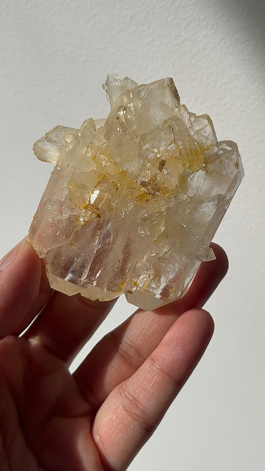 “Aureus Raft” Golden Healer Faden Quartz Specimen F