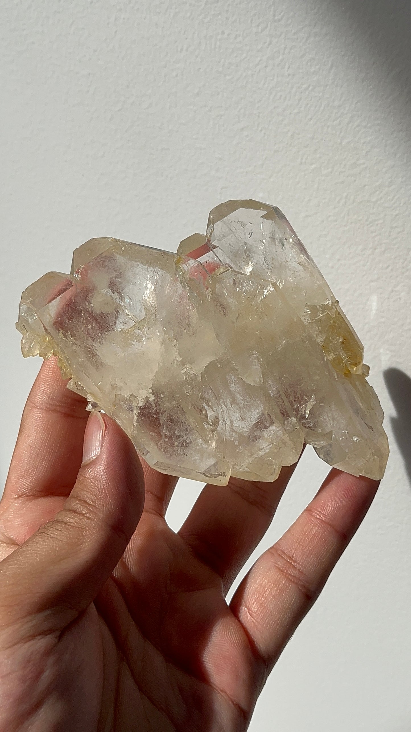 “The Floater Field” Golden Healer Faden Quartz Specimen D