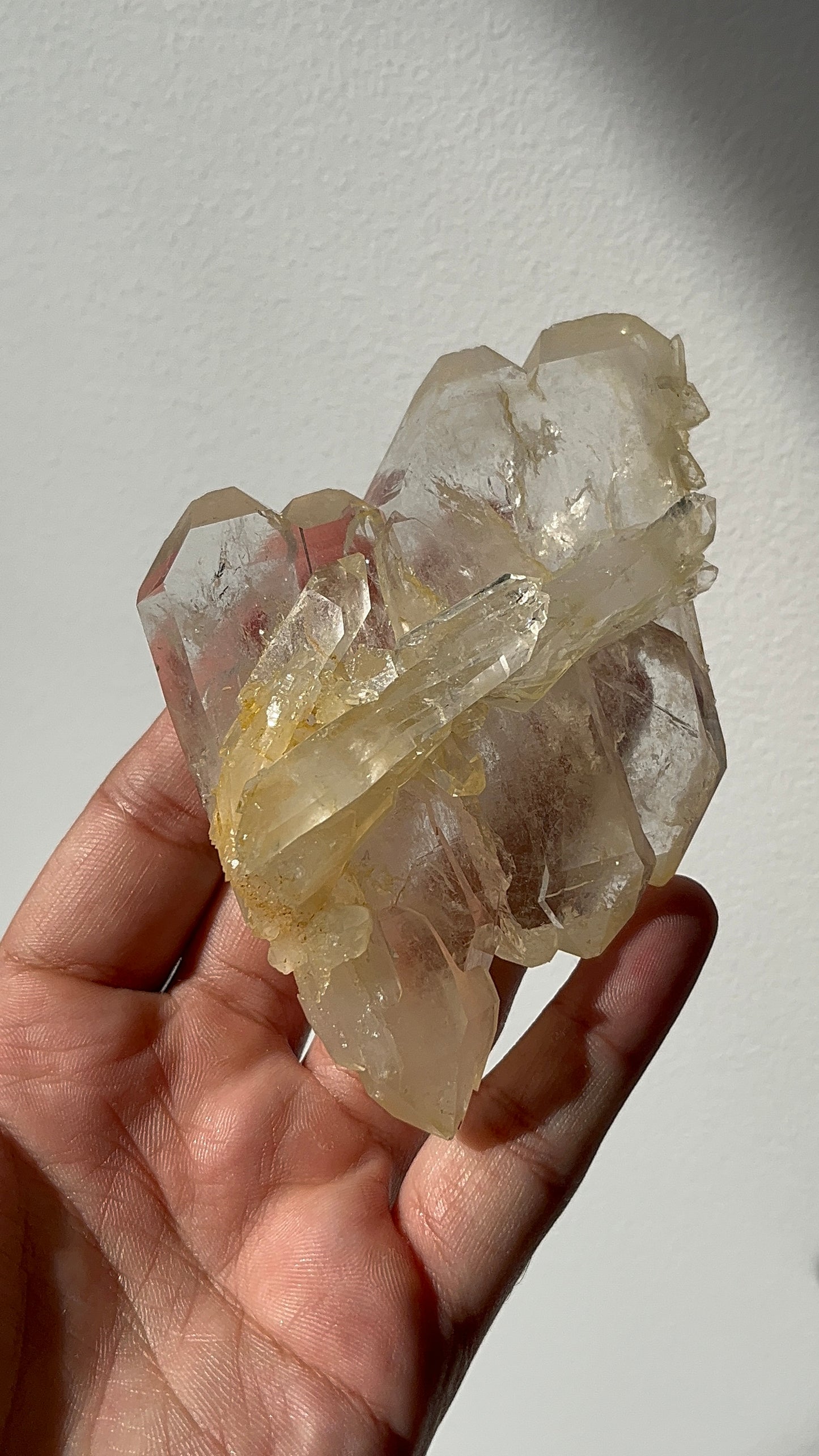 “The Floater Field” Golden Healer Faden Quartz Specimen D
