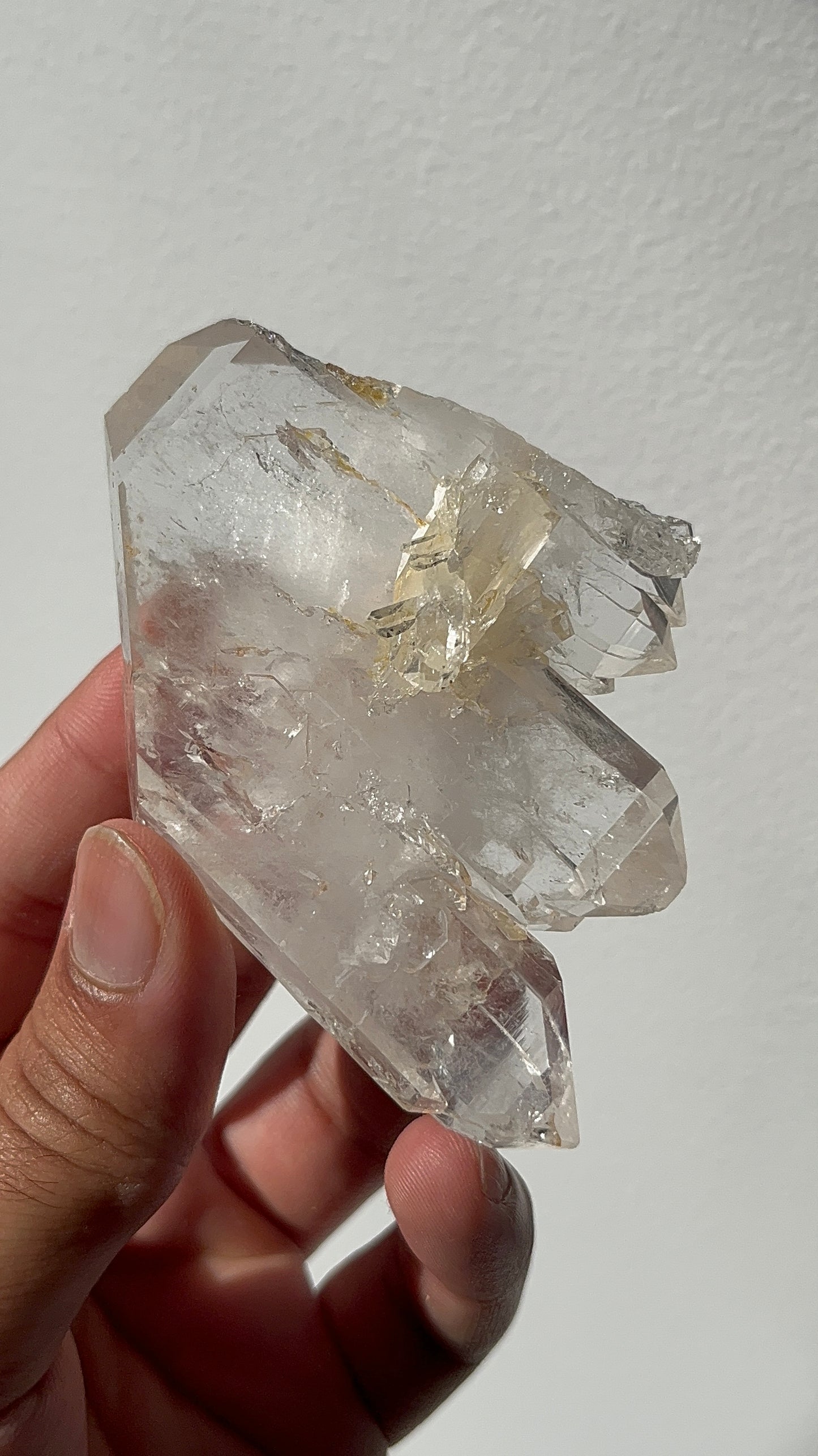 “The Faden Footprint” Golden Healer Faden Quartz Specimen L