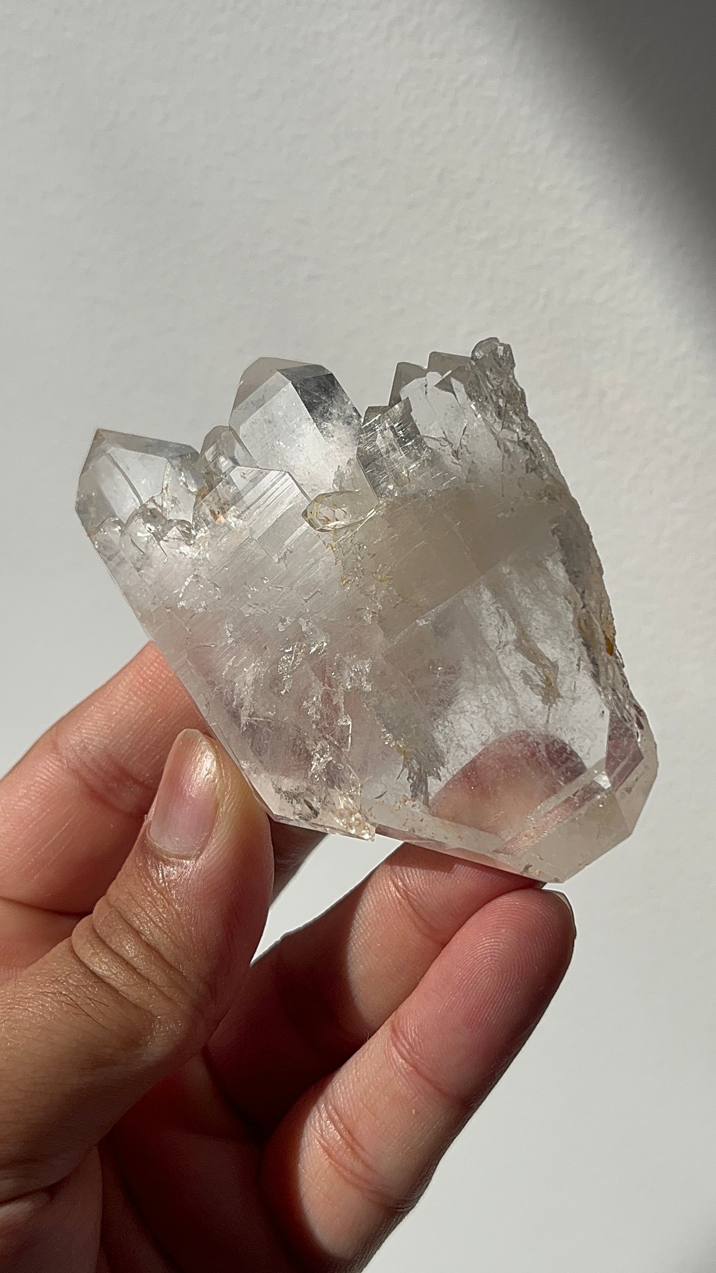 “The Faden Footprint” Golden Healer Faden Quartz Specimen L