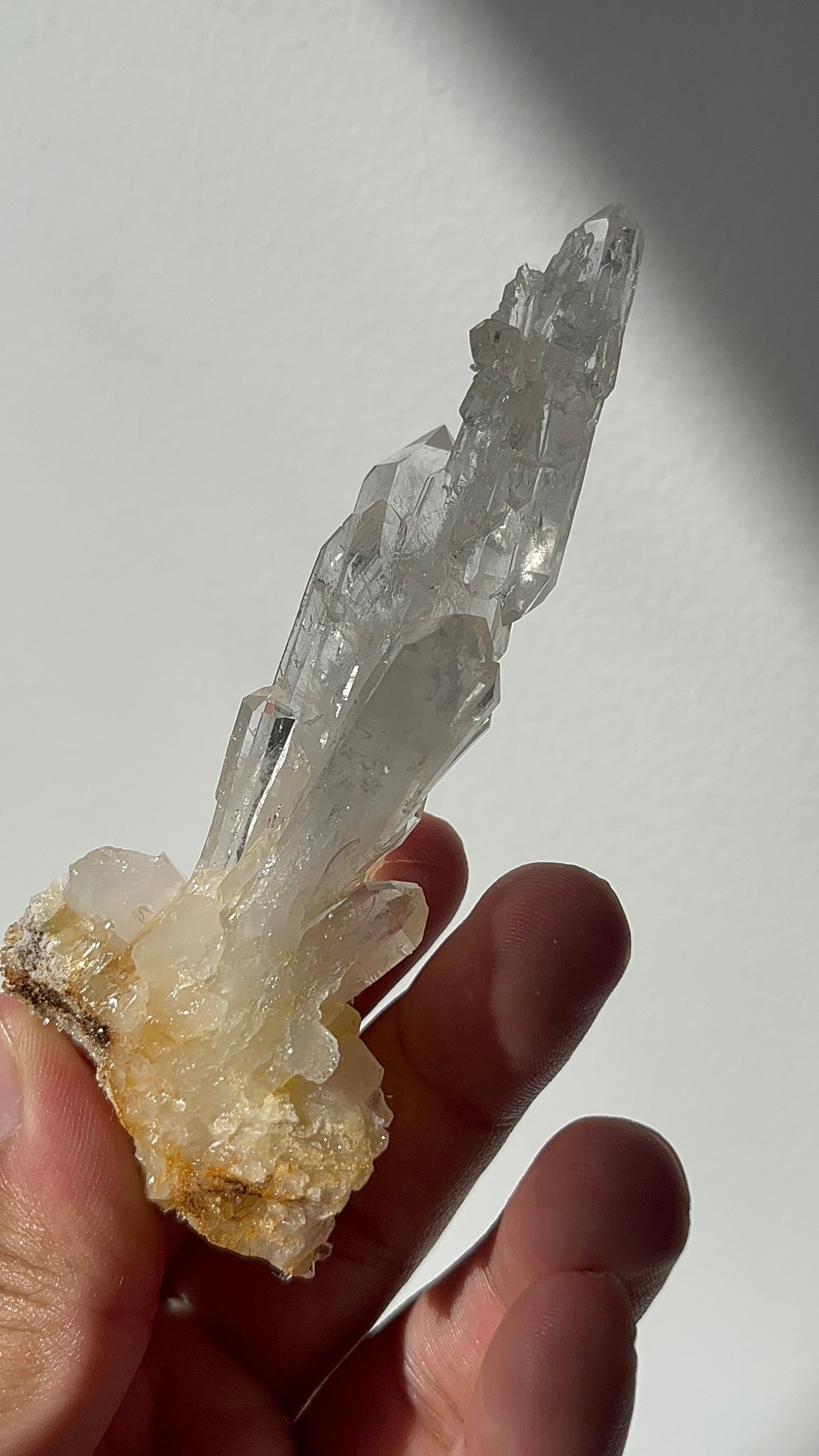 “The Ascending Spire” Golden Healer Faden Quartz Specimen N