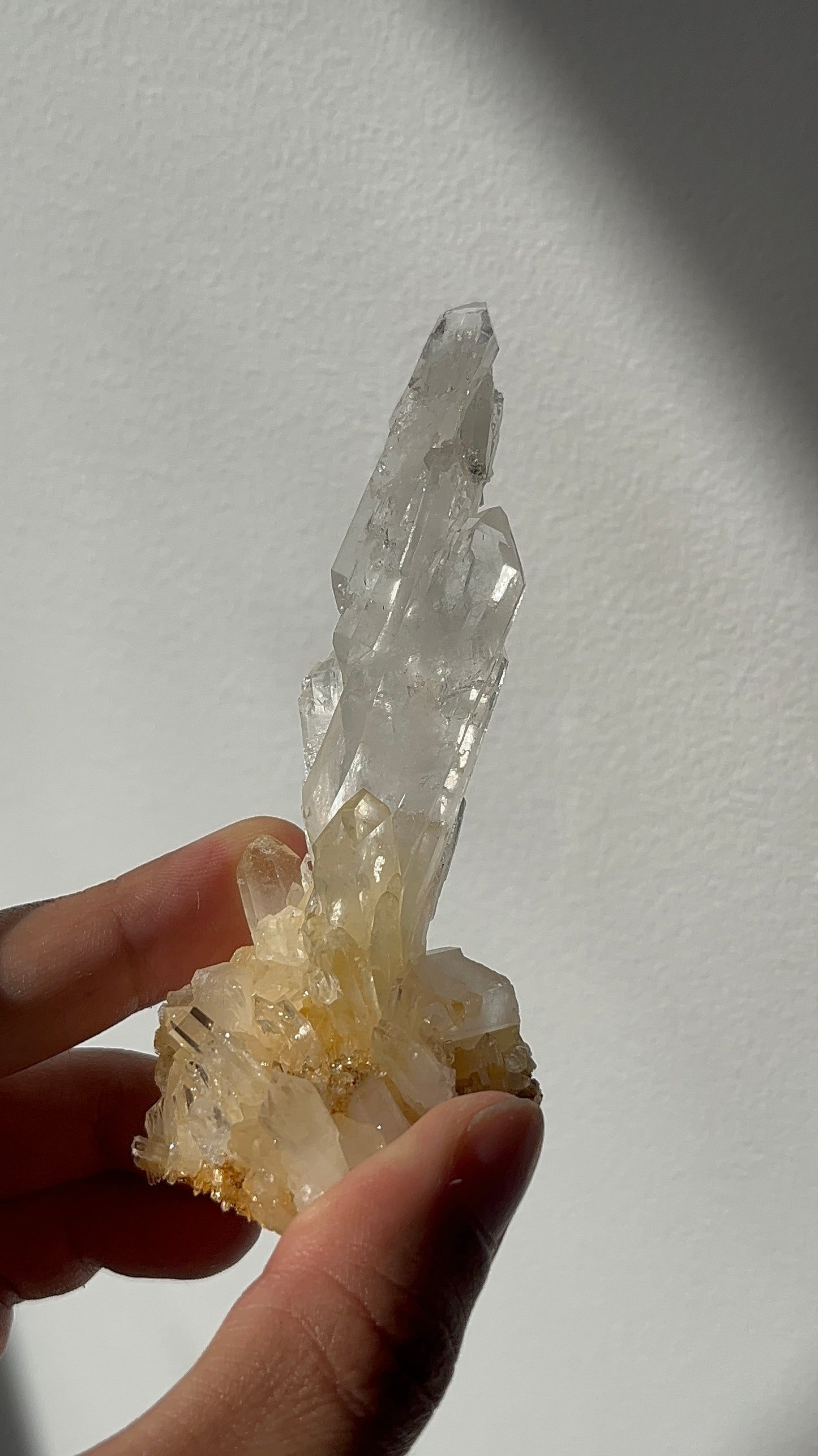 “The Ascending Spire” Golden Healer Faden Quartz Specimen N