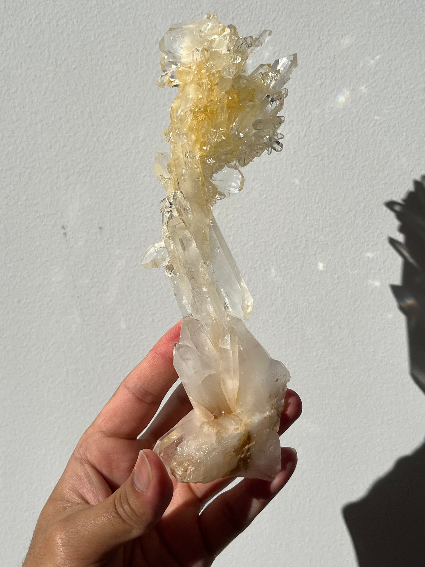 “The Helios Bloom” Golden Healer Faden Quartz Specimen B