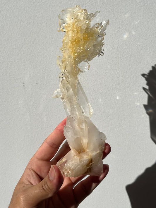 “The Helios Bloom” Golden Healer Faden Quartz Specimen B