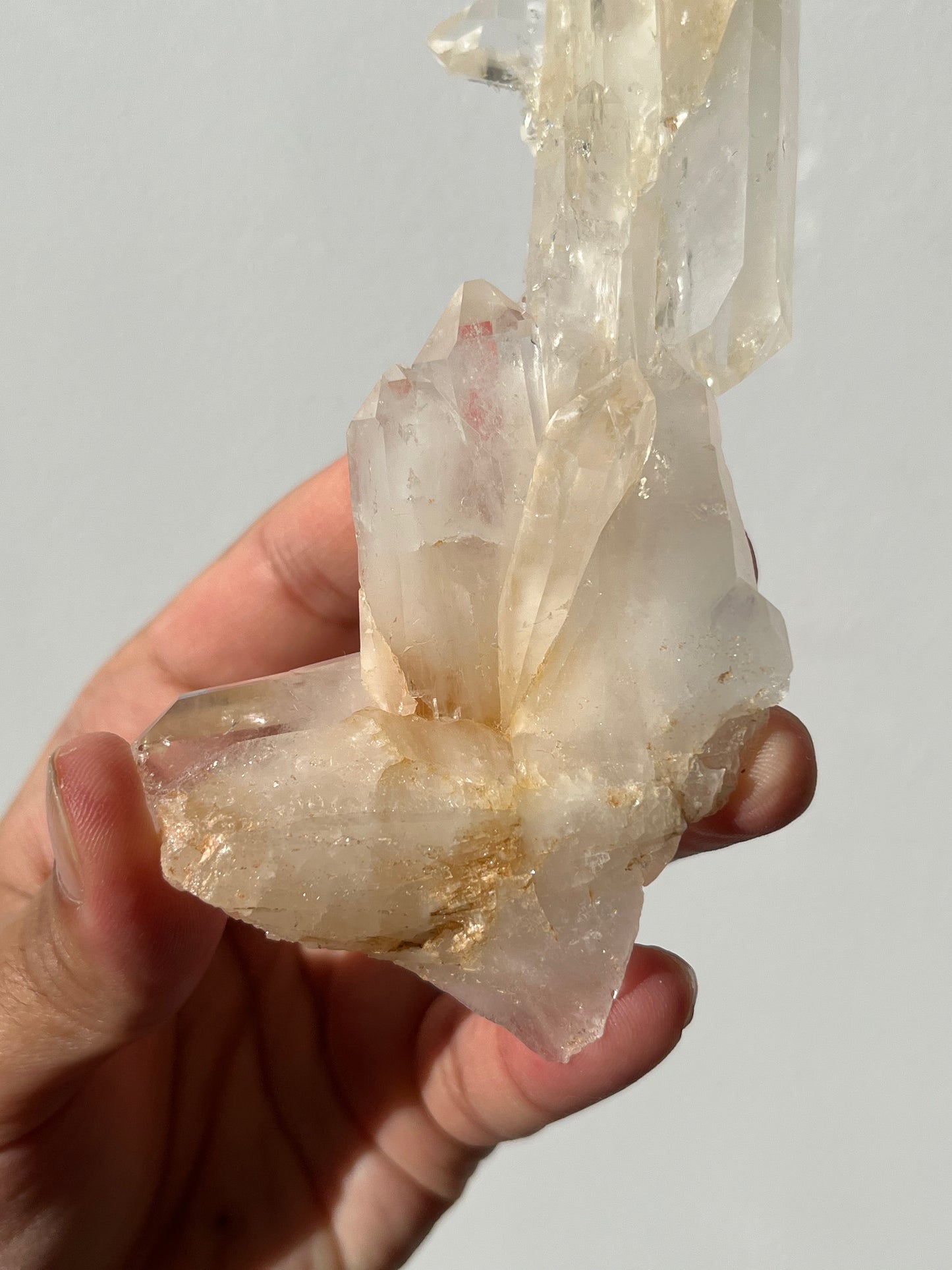 “The Helios Bloom” Golden Healer Faden Quartz Specimen B