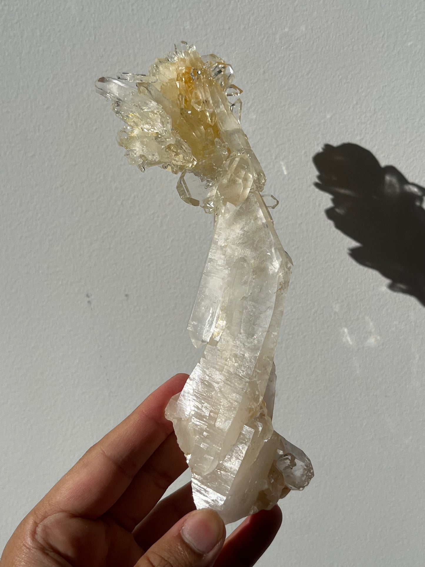 “The Helios Bloom” Golden Healer Faden Quartz Specimen B