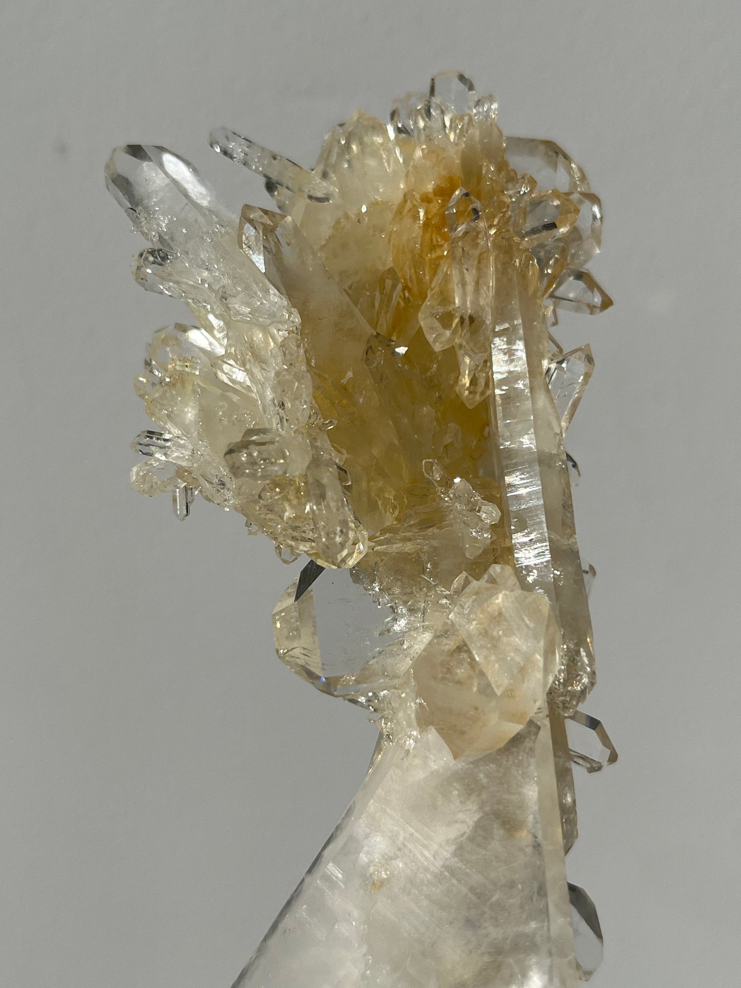 “The Helios Bloom” Golden Healer Faden Quartz Specimen B