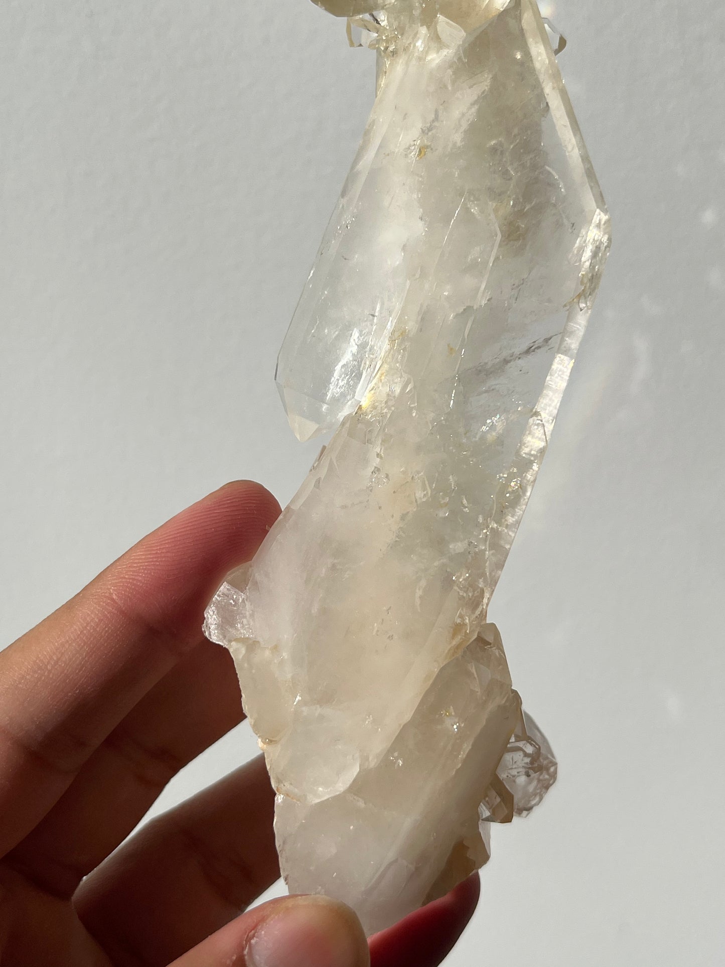 “The Helios Bloom” Golden Healer Faden Quartz Specimen B