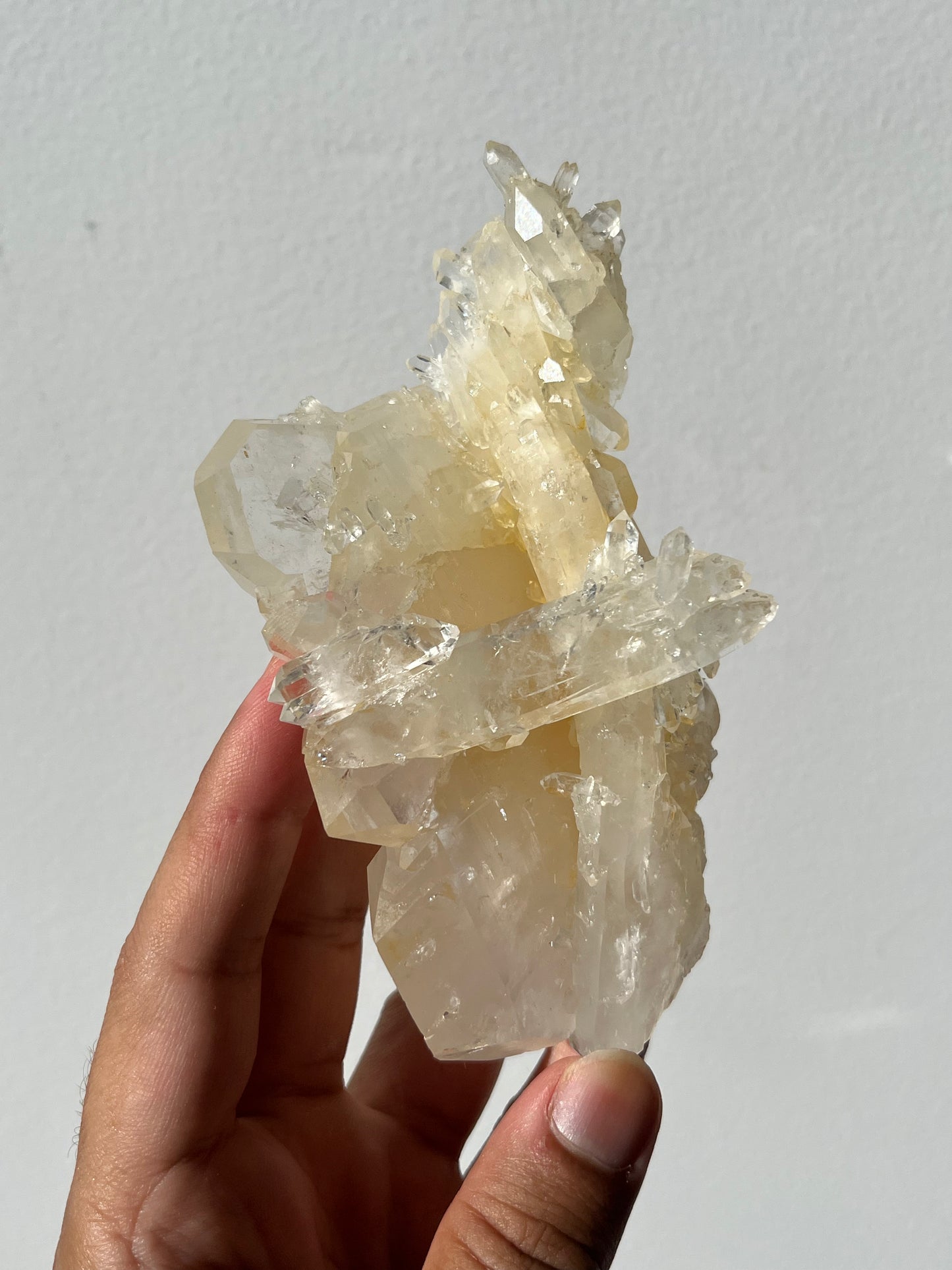 “The Archer of Light” Golden Healer Faden Quartz Specimen E