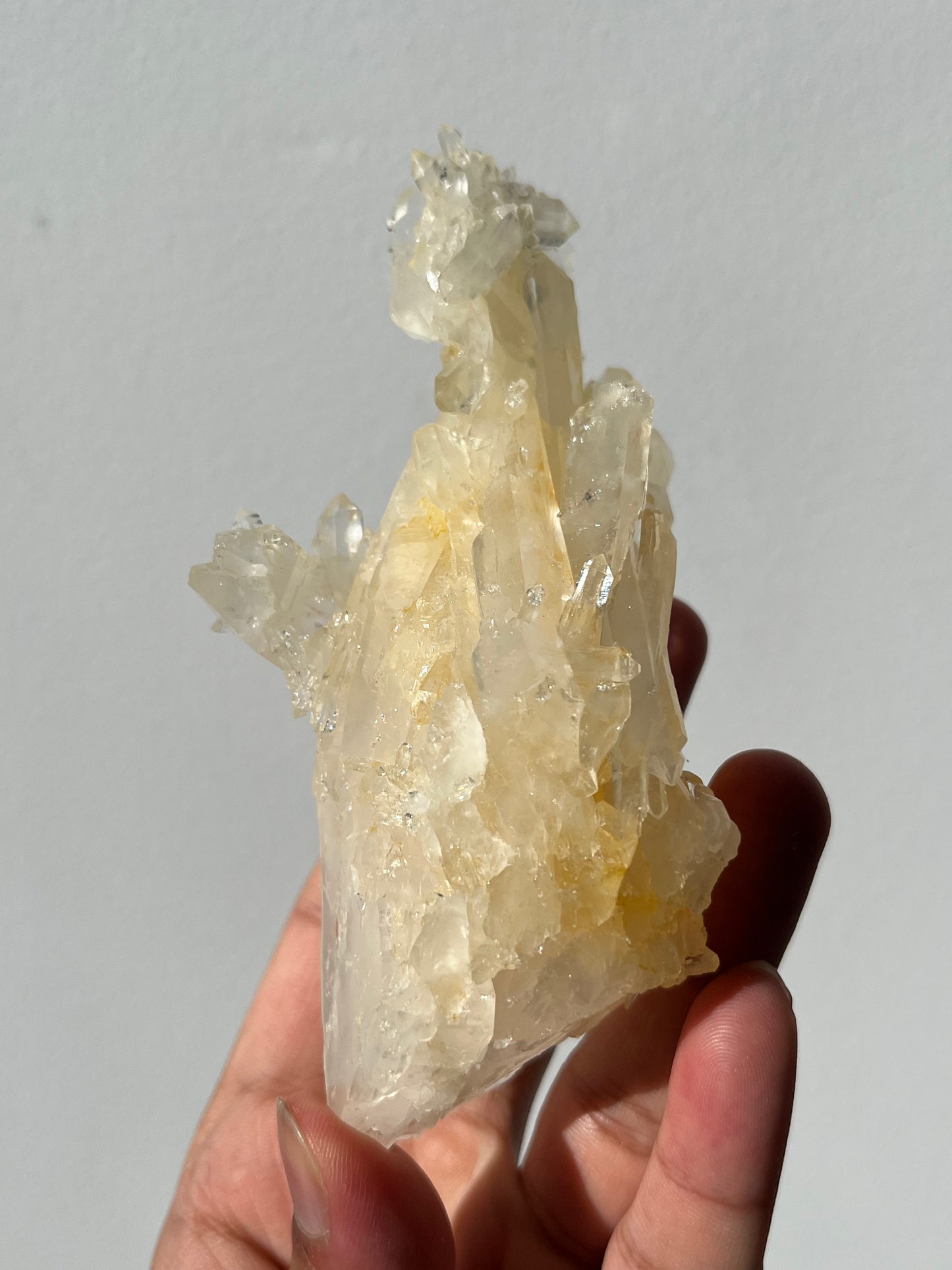 “The Archer of Light” Golden Healer Faden Quartz Specimen E
