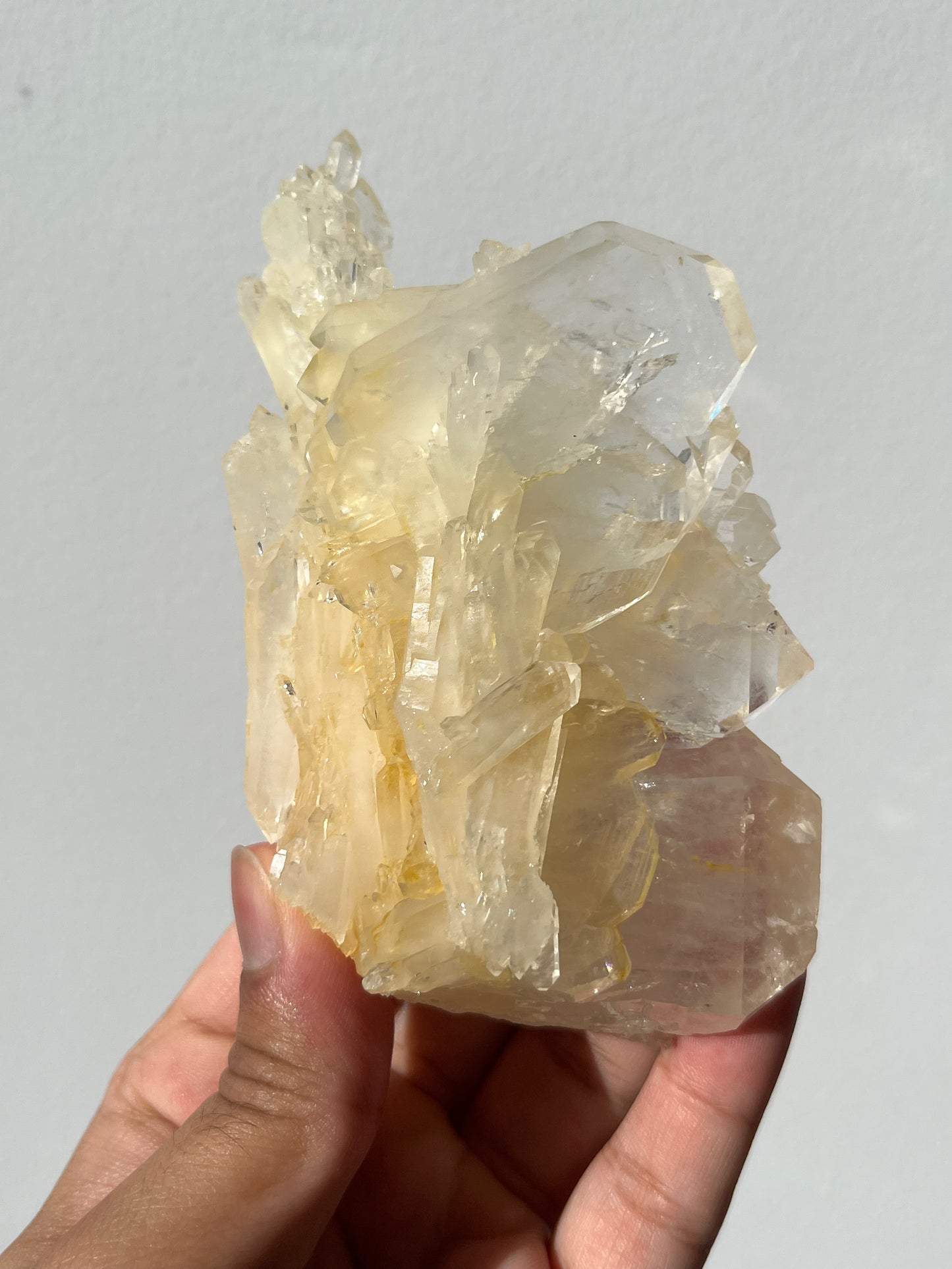 “The Archer of Light” Golden Healer Faden Quartz Specimen E