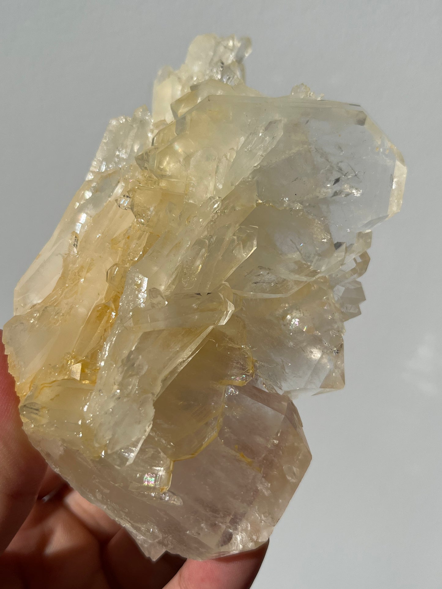 “The Archer of Light” Golden Healer Faden Quartz Specimen E