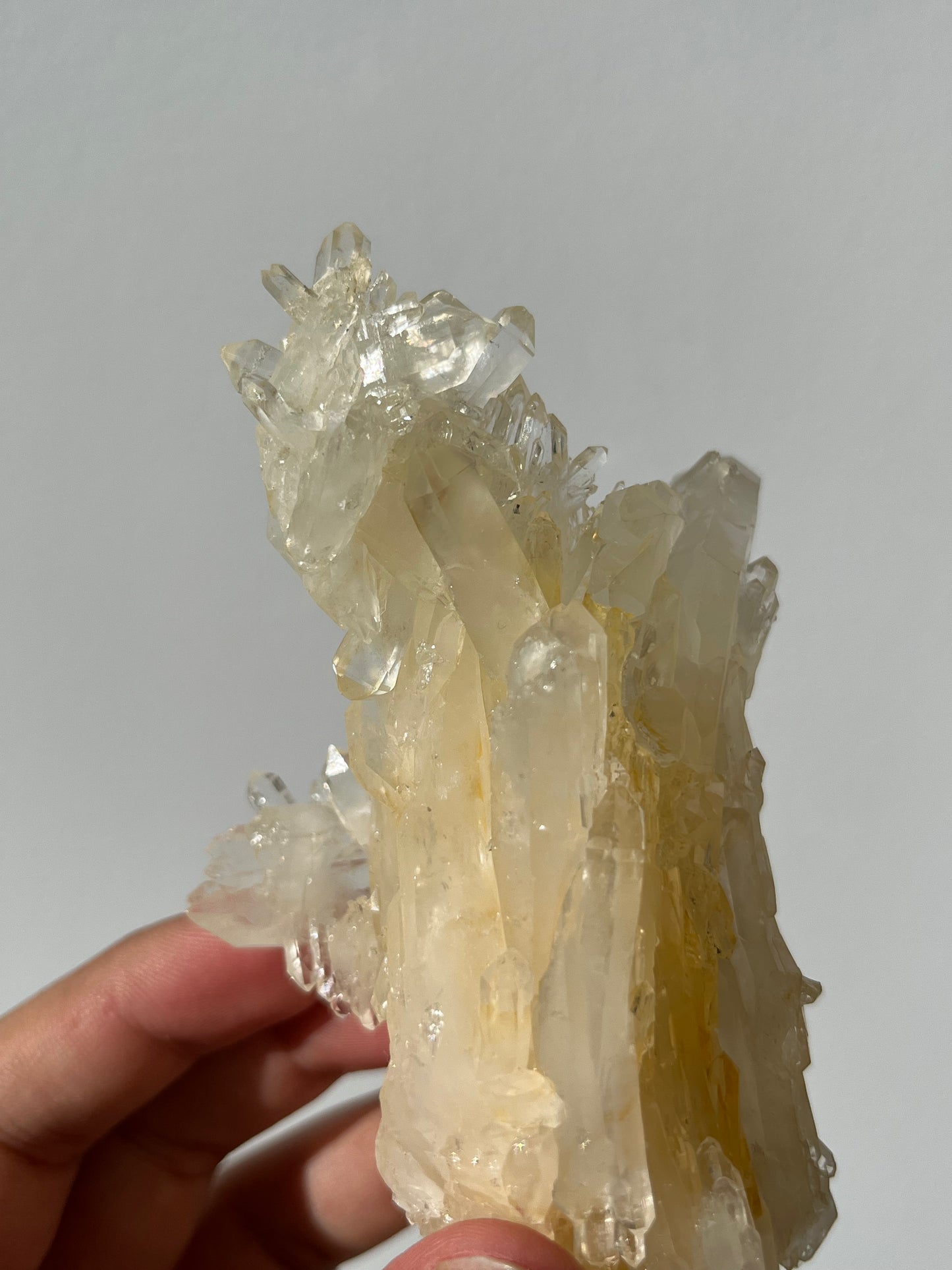 “The Archer of Light” Golden Healer Faden Quartz Specimen E