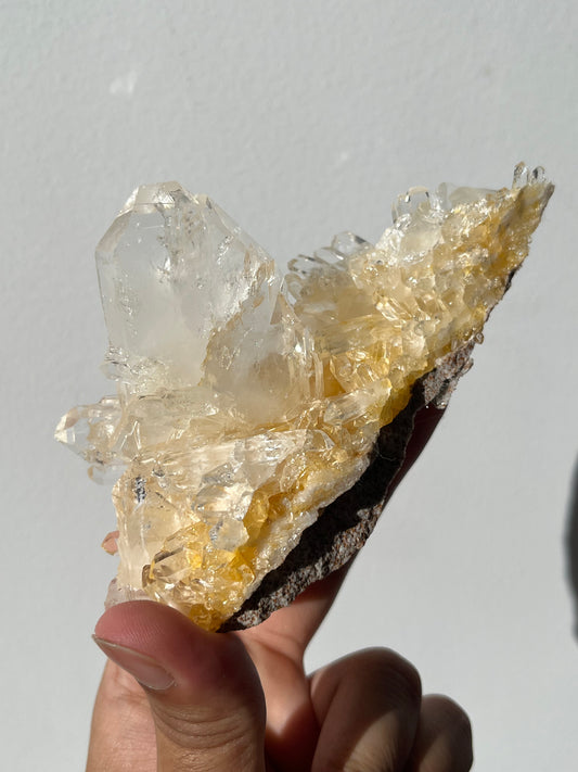 “Genesis Anchor” Golden Healer Faden Quartz Specimen G