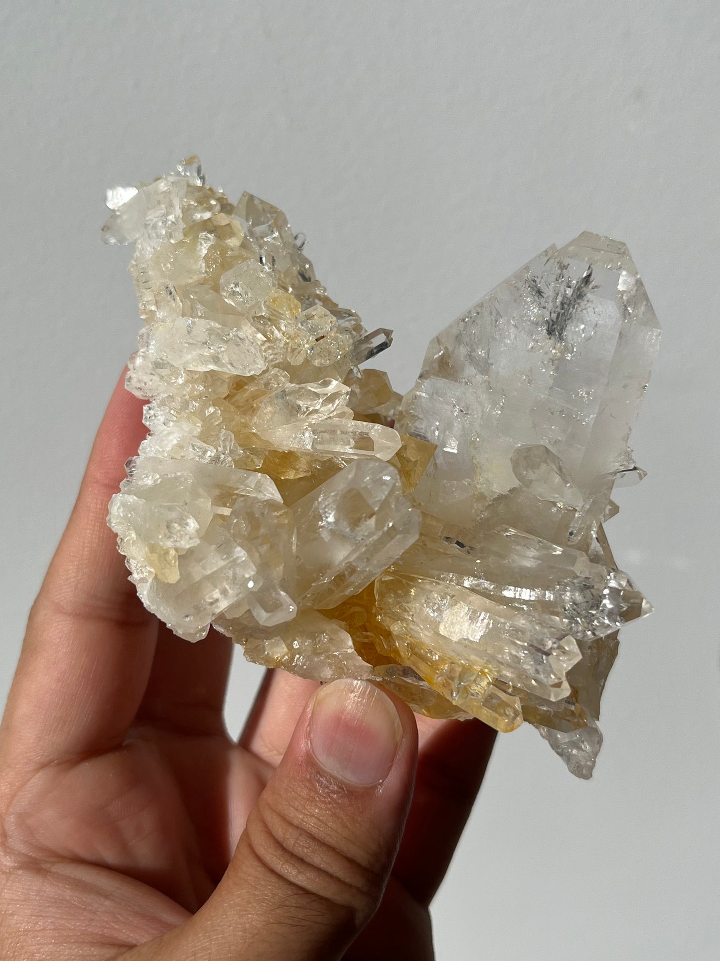 “Genesis Anchor” Golden Healer Faden Quartz Specimen G