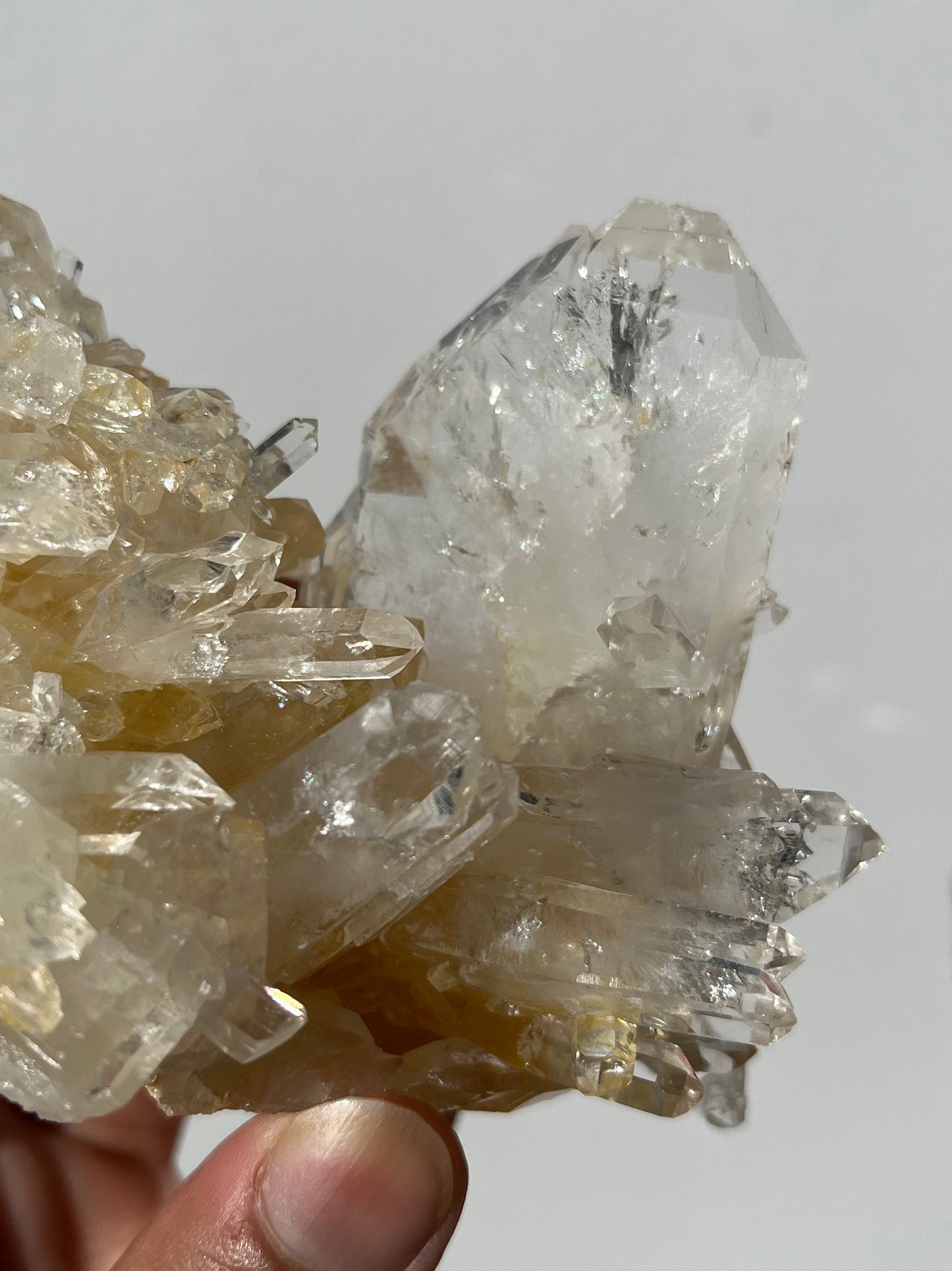 “Genesis Anchor” Golden Healer Faden Quartz Specimen G