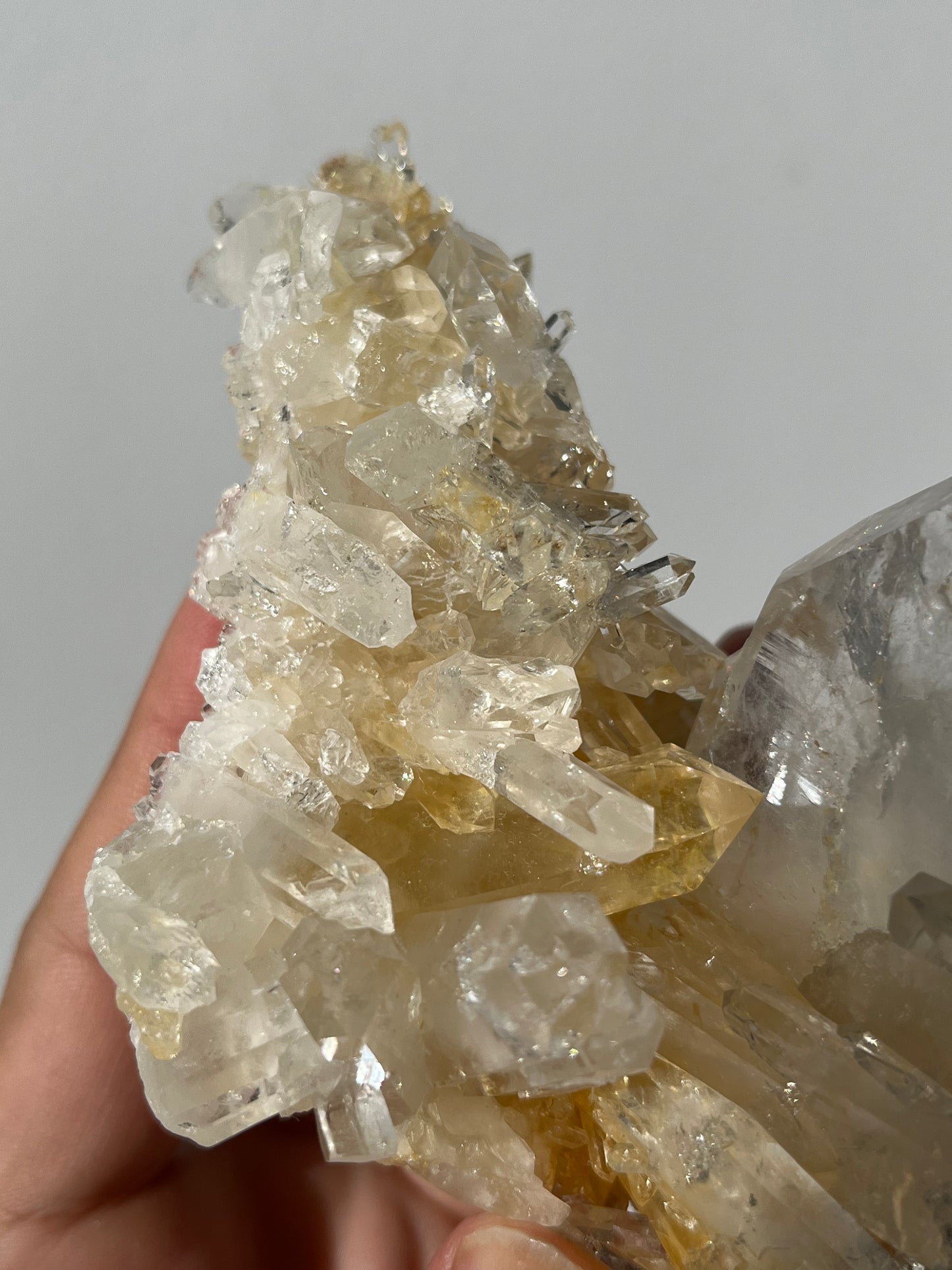 “Genesis Anchor” Golden Healer Faden Quartz Specimen G