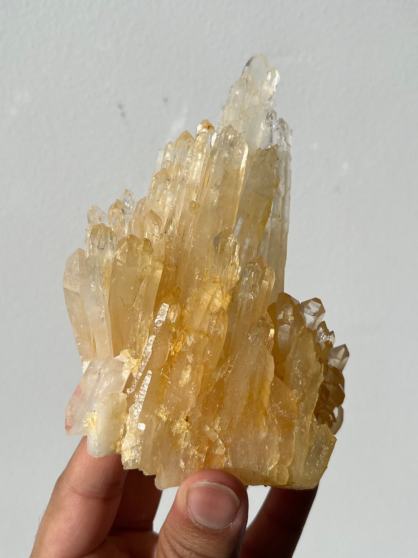 “Helios' Crown” Golden Healer Faden Quartz Specimen H