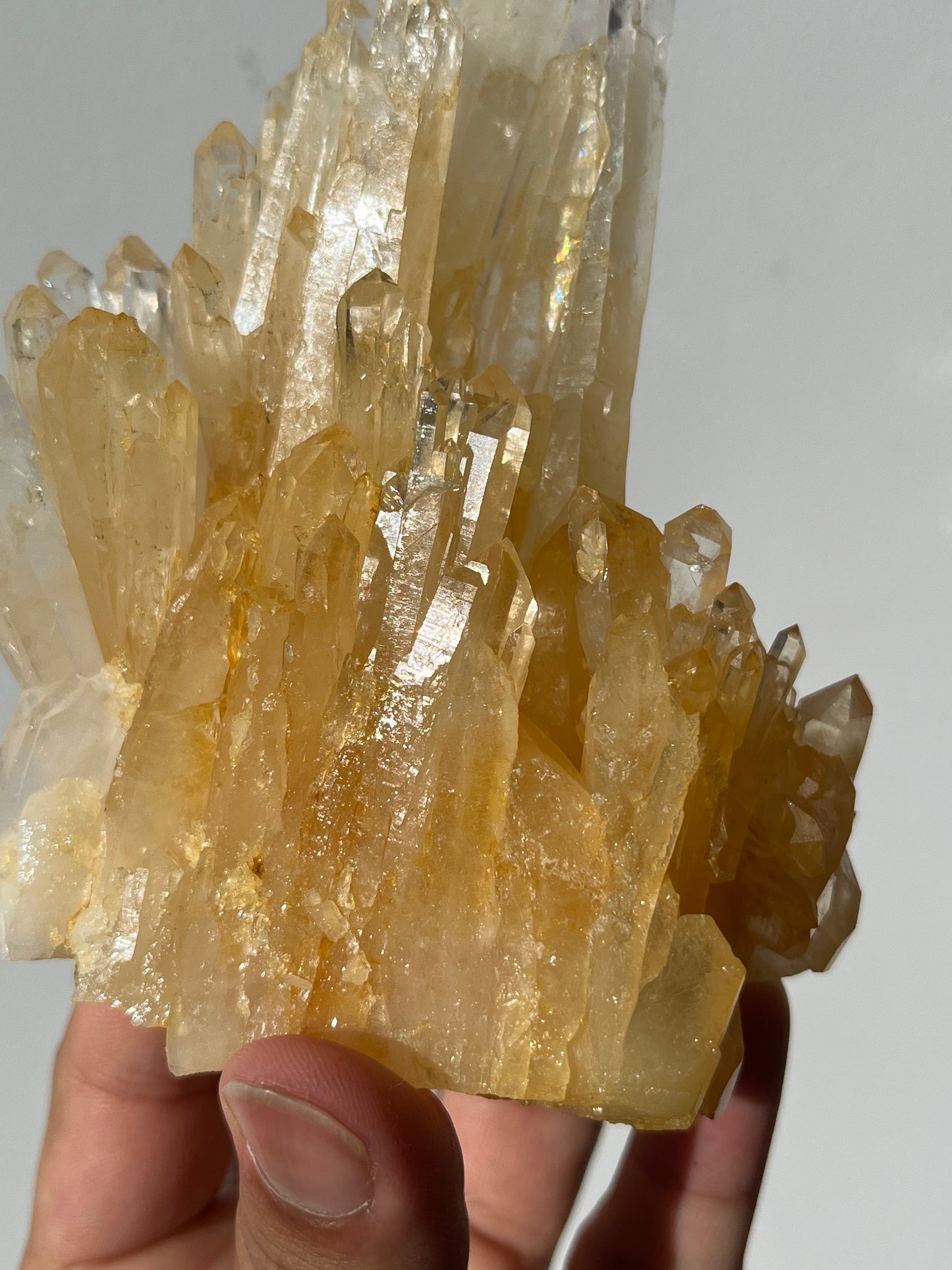 “Helios' Crown” Golden Healer Faden Quartz Specimen H