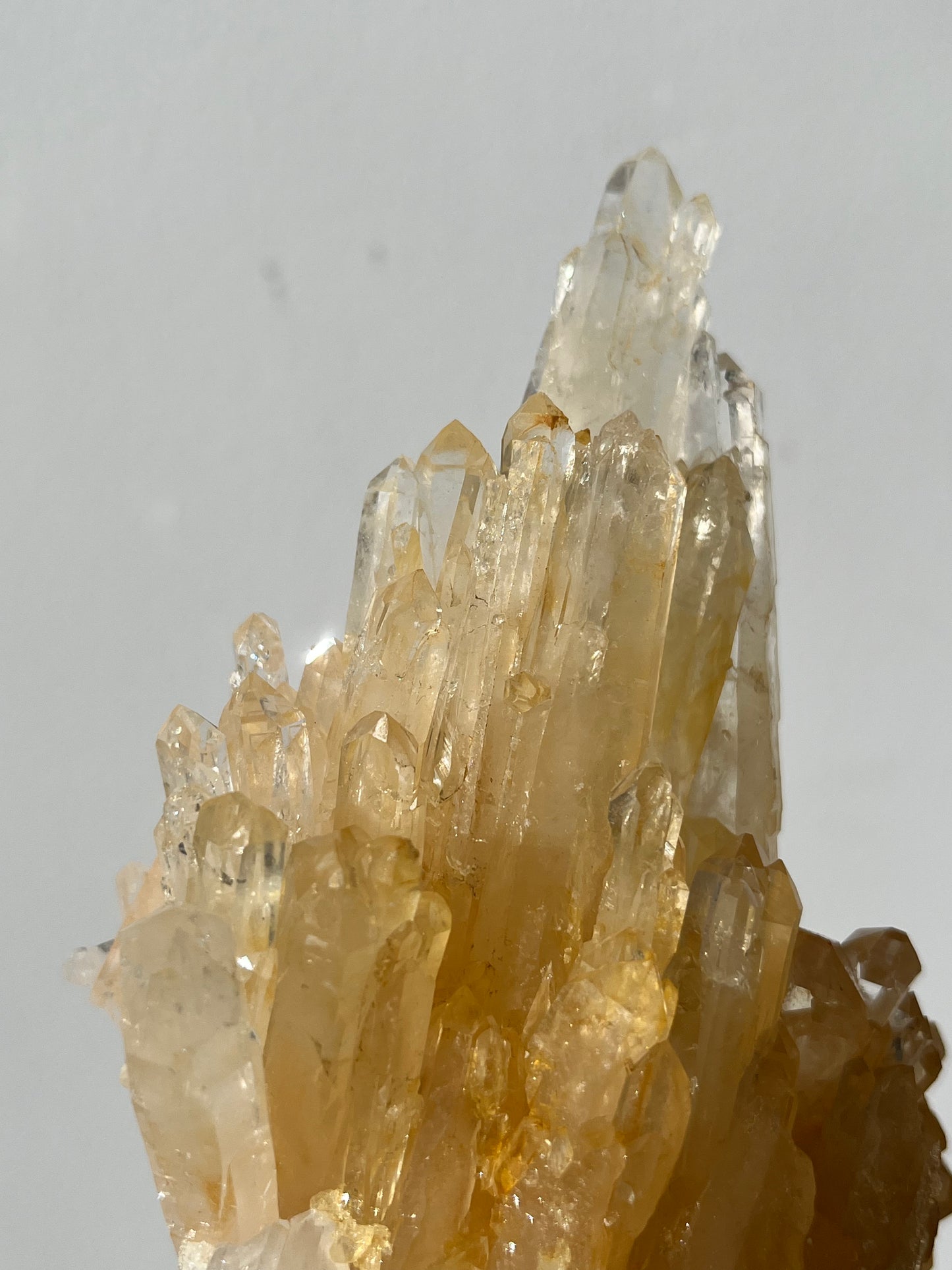 “Helios' Crown” Golden Healer Faden Quartz Specimen H
