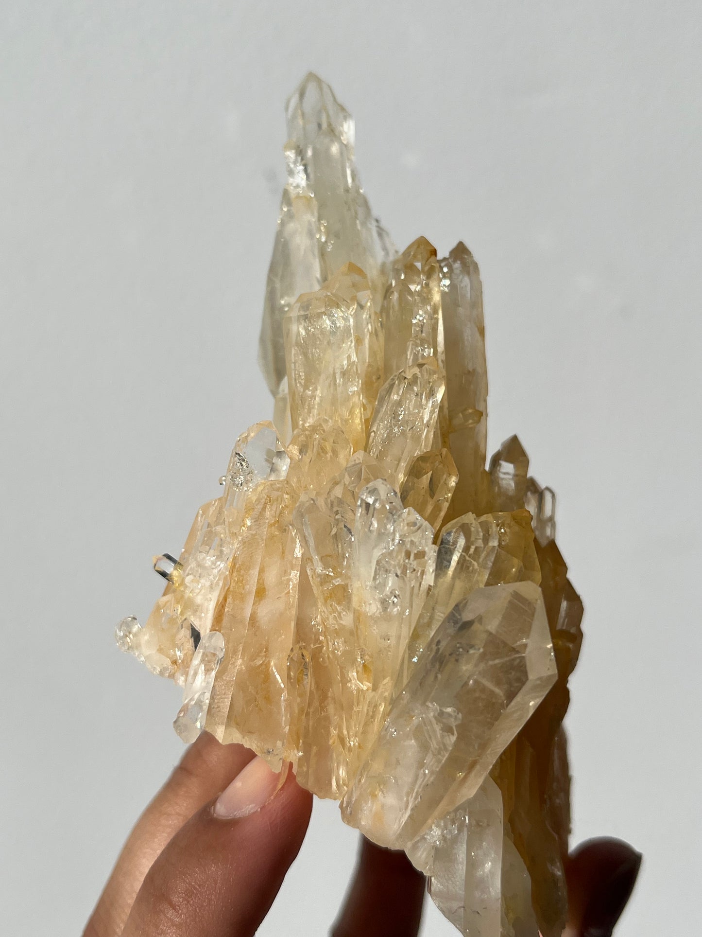 “Helios' Crown” Golden Healer Faden Quartz Specimen H