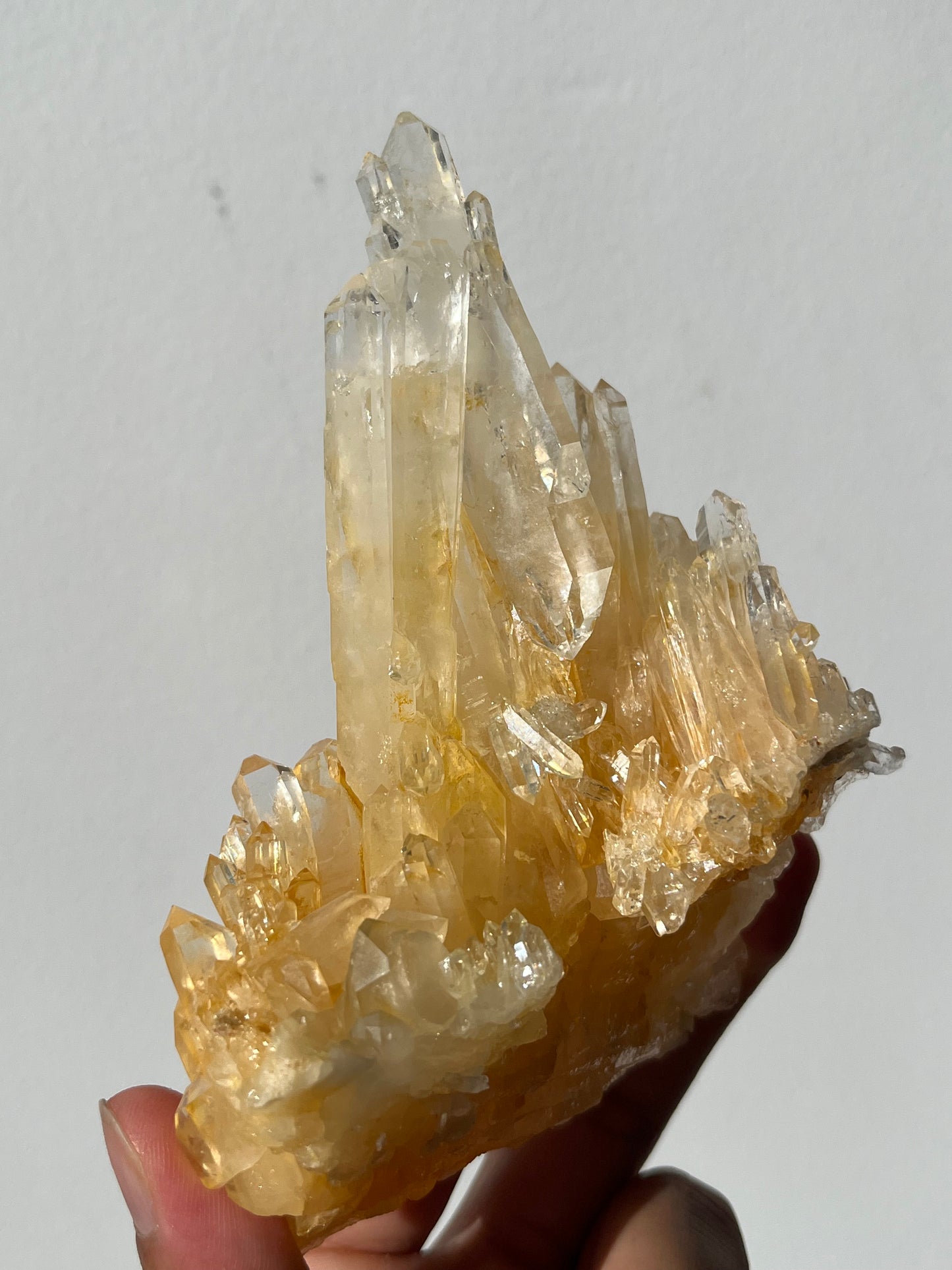 “Helios' Crown” Golden Healer Faden Quartz Specimen H